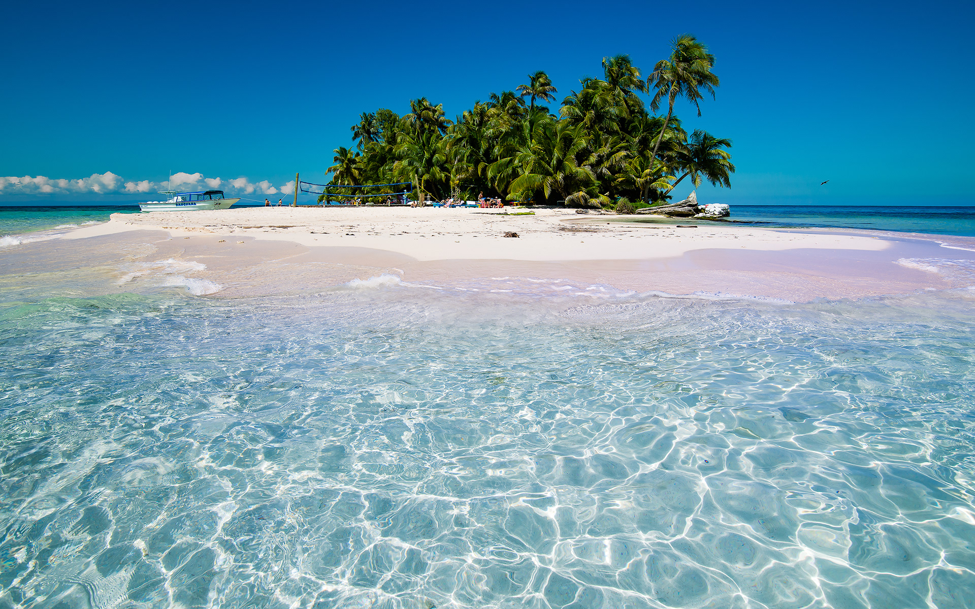 "The Smell of Coconut" | Ranguana Caye Belize