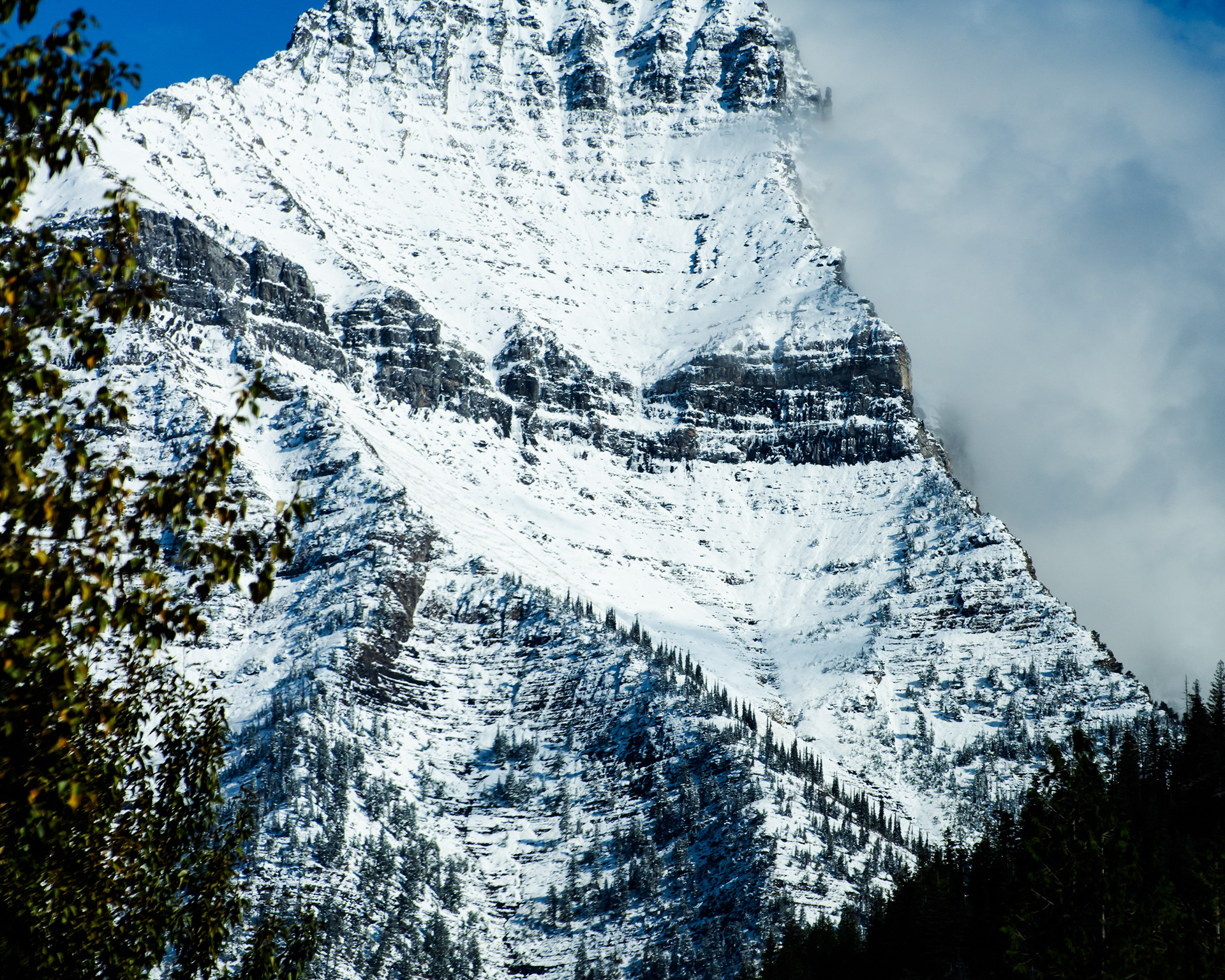 "Standing Firm" | Glacier National Park