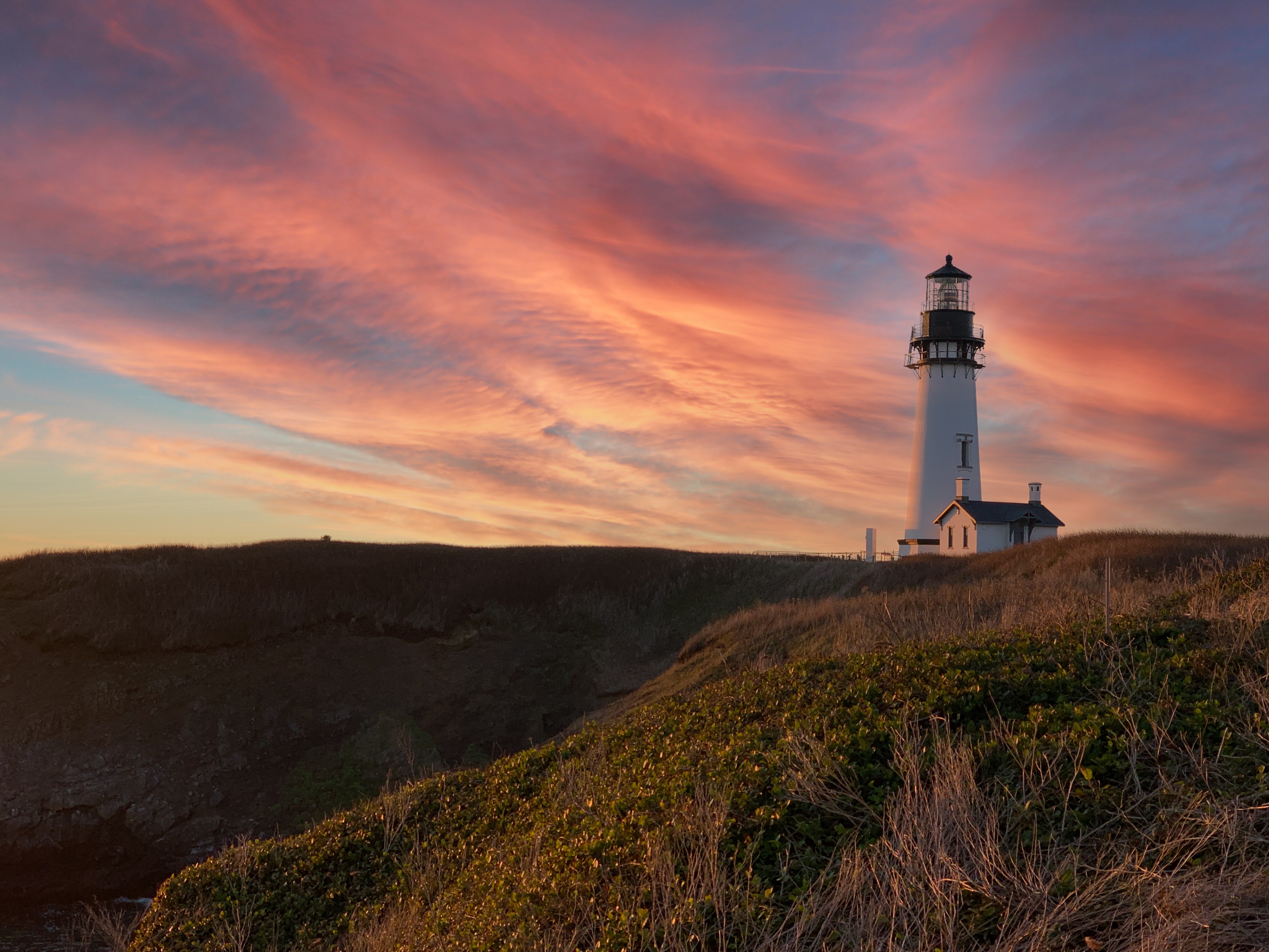 "Standing Watch" | Yaquina Head Natural Area