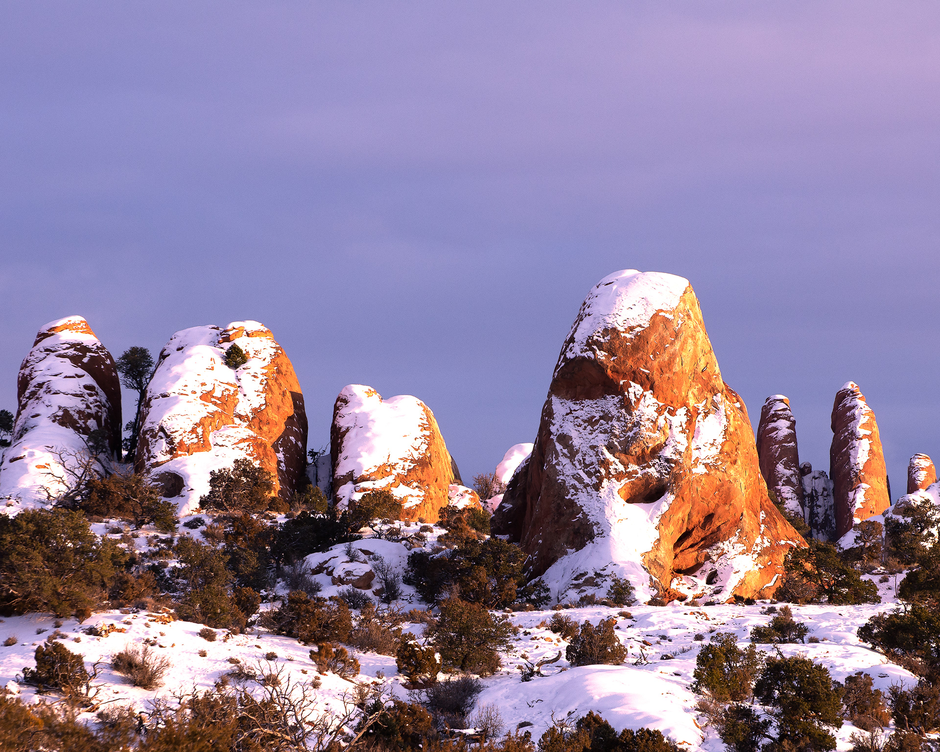 "Frosted" | Arches National Park