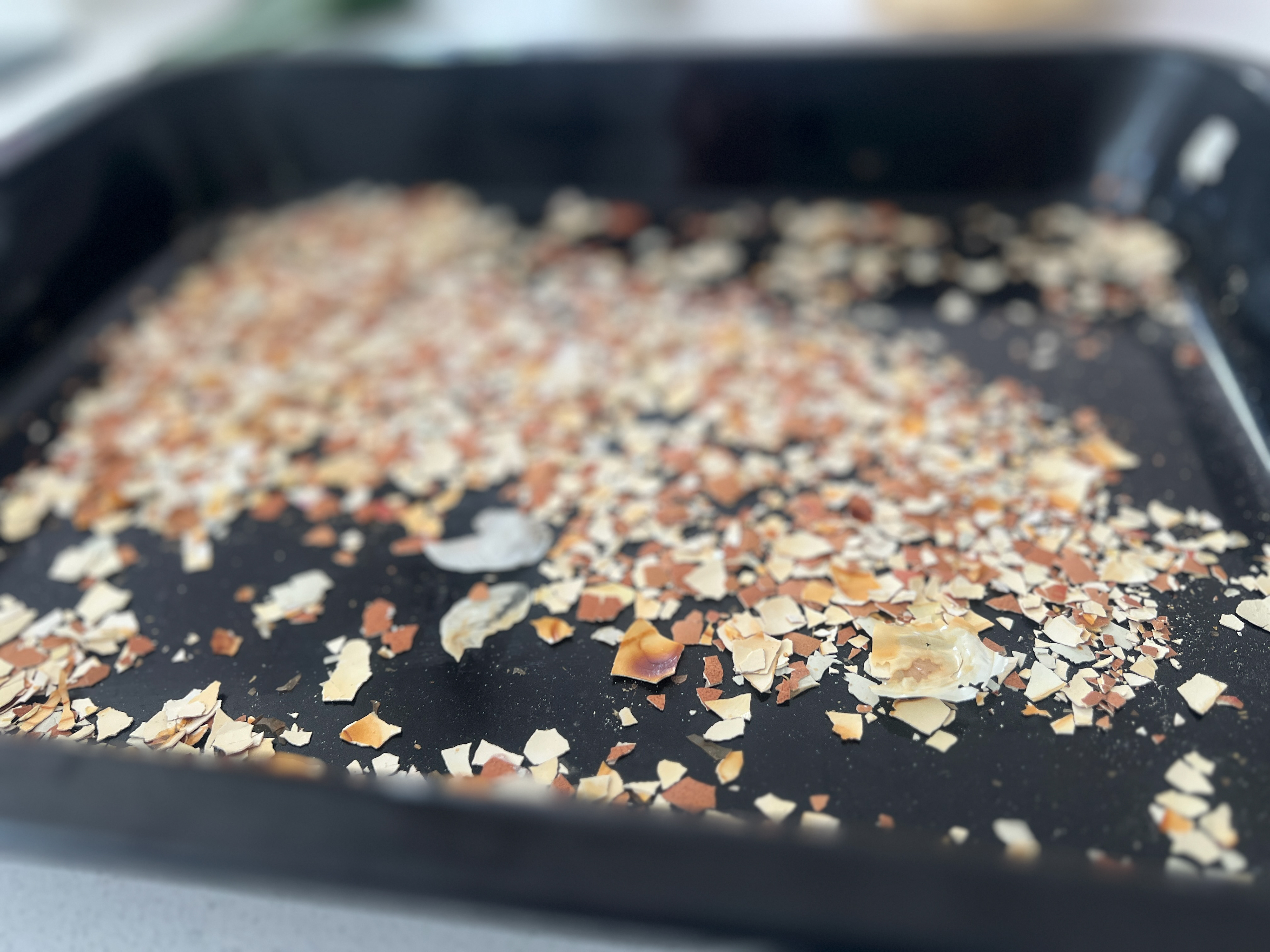 One of our members has already made baked egg shells to sprinkle near her Hostas.