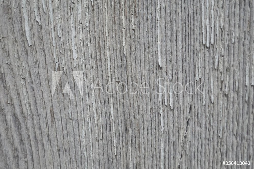 ancienne porte en bois, détail
