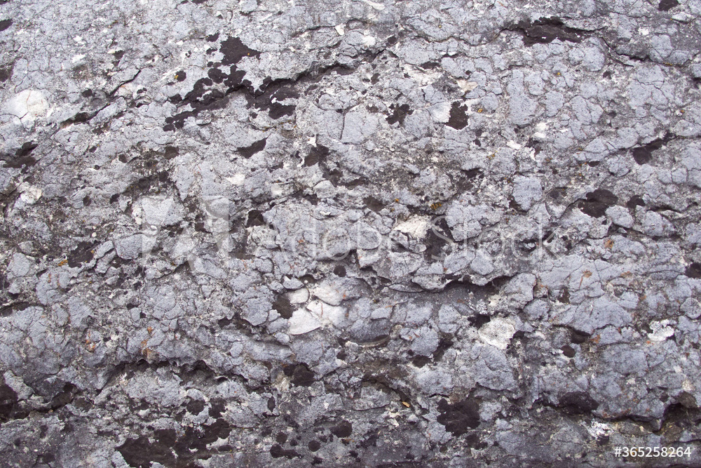Mur anthracite