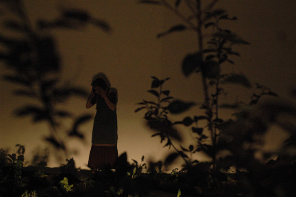 2007 - Coeurs purs et autres denrées 