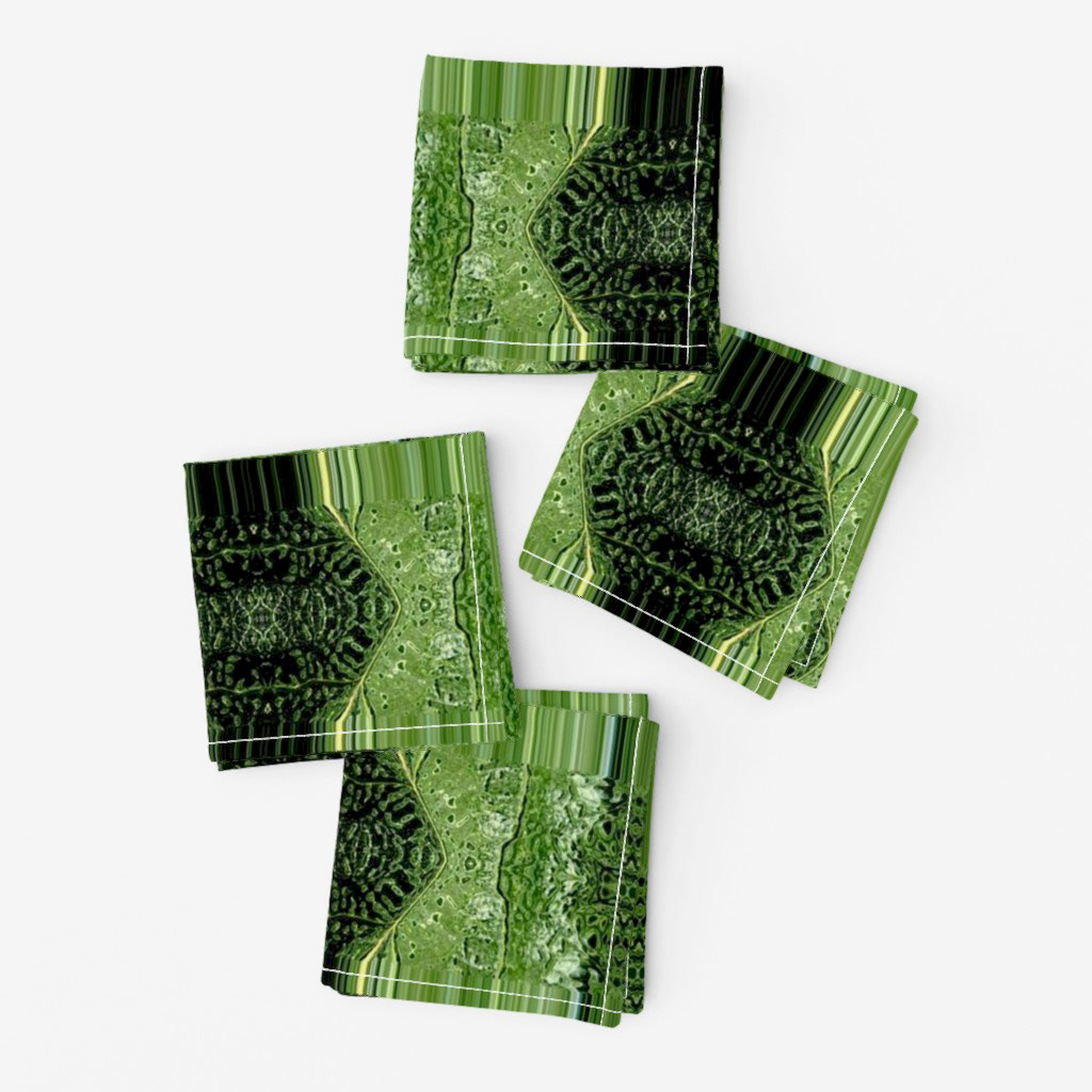 Nerves of a Fig Tree Leaf 3