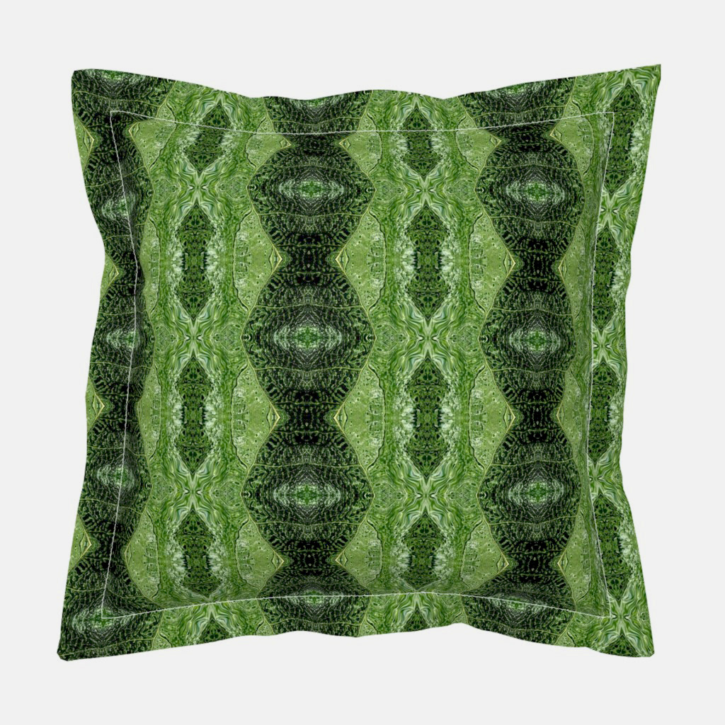 Nerves of a Fig Tree Leaf 1 - Euro
