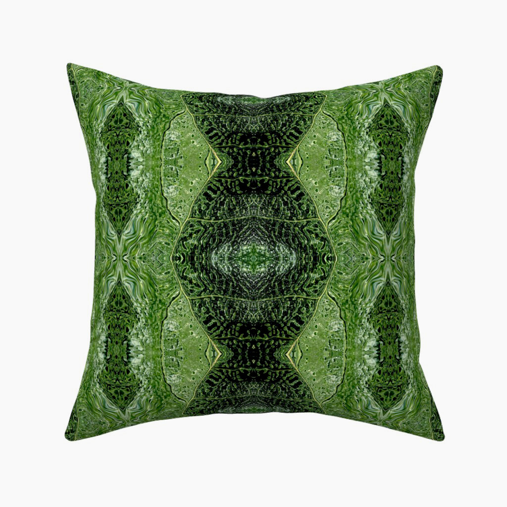 Nerves of a Fig Tree Leaf 1 - Square