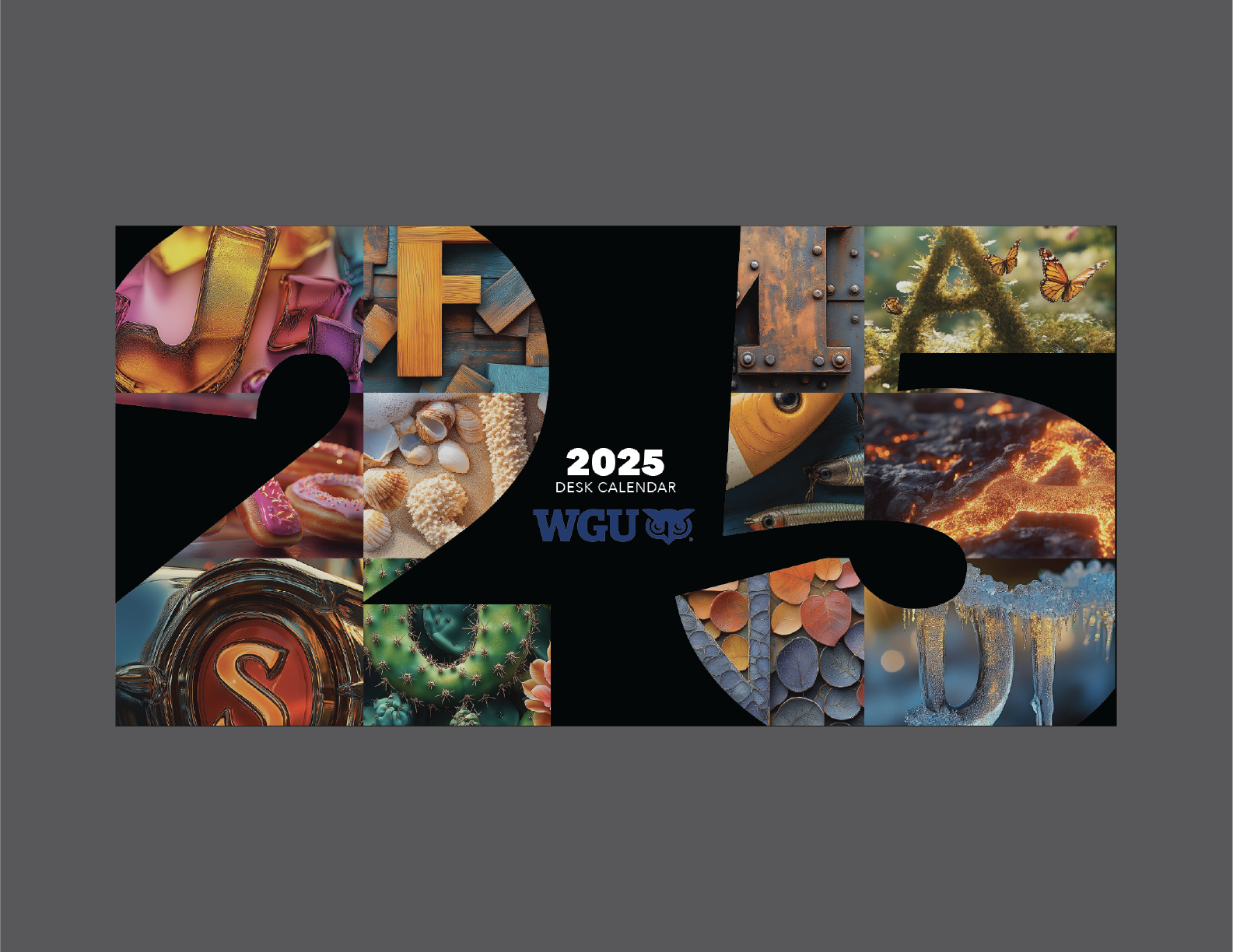 2025 Calendar Cover