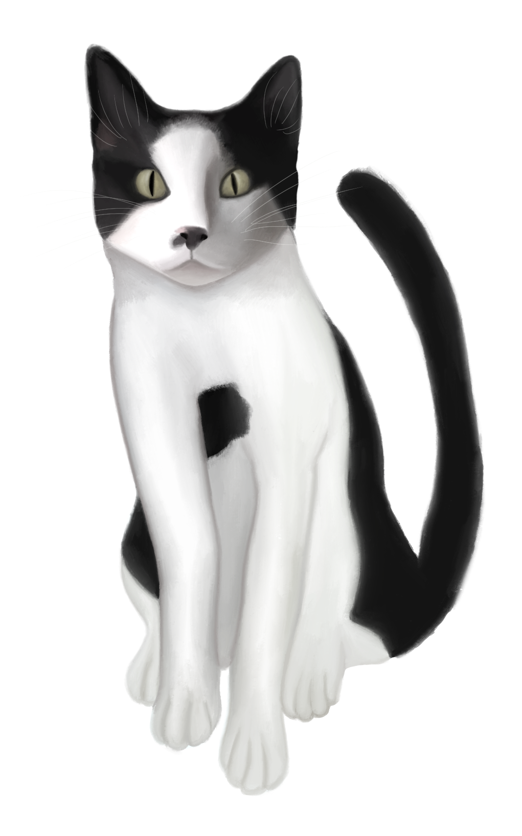 Illustration of my cat Eliot