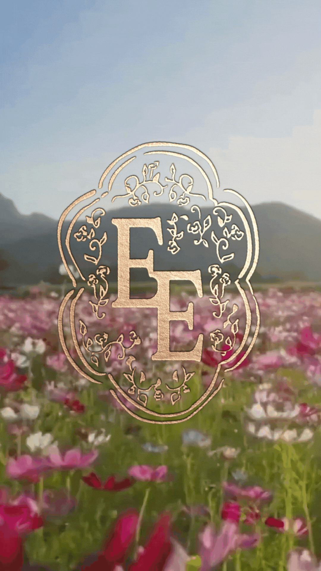 Eden & Evermore Motion