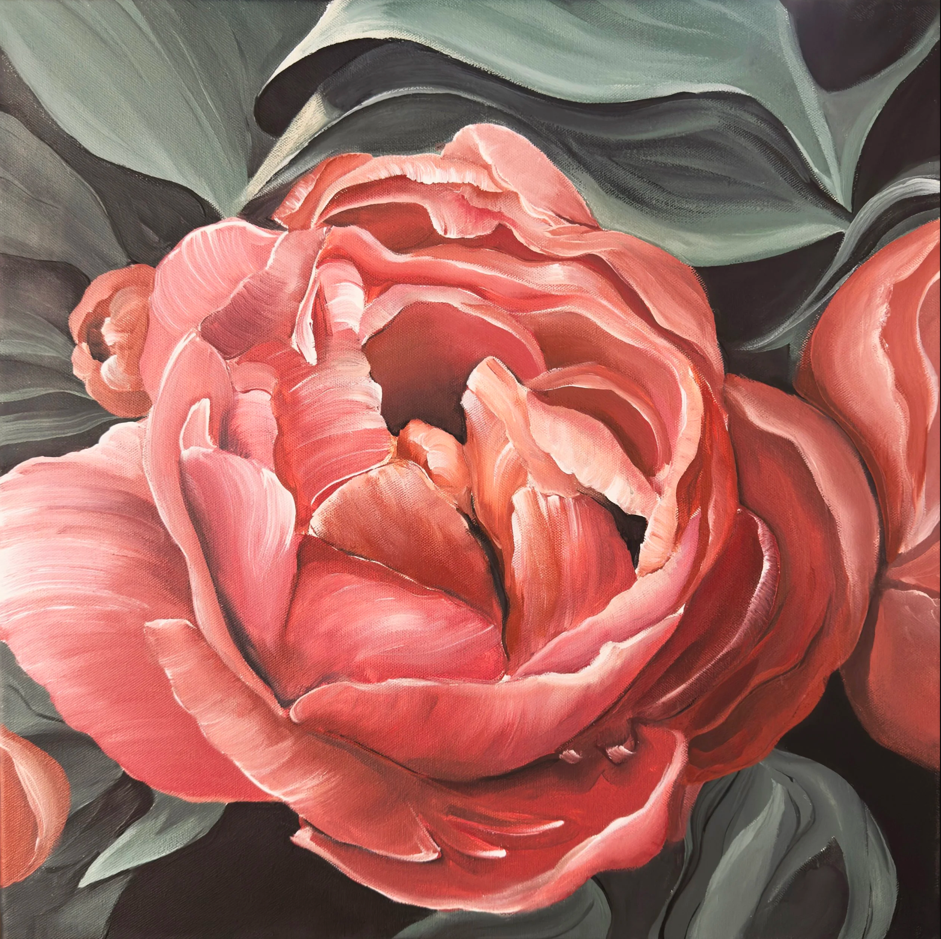 Coral Peony