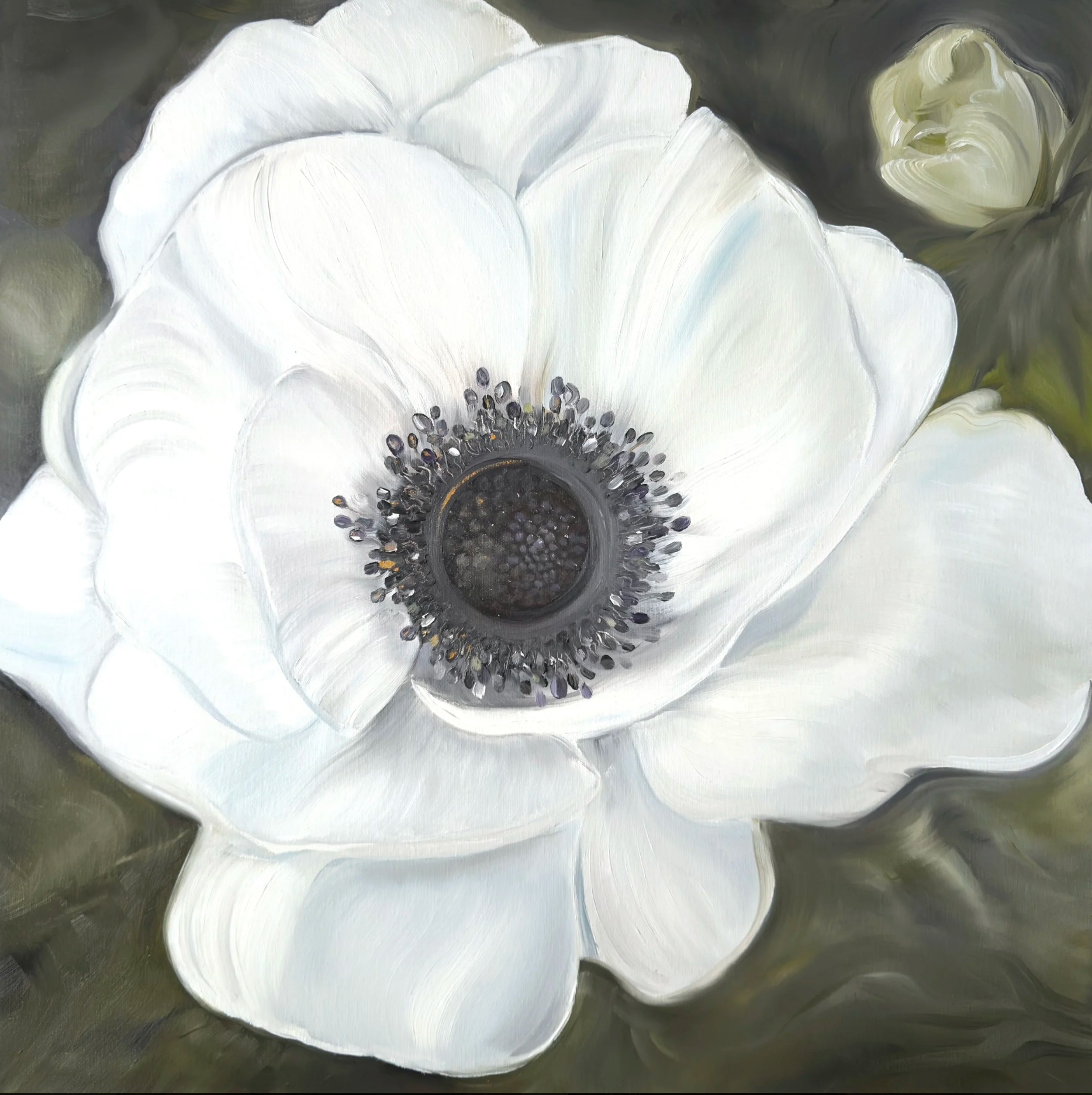 White Anemone