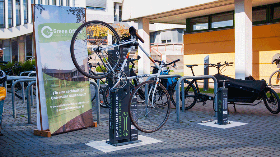 Pressefotografie Hildesheim, Verena Stürzebecher