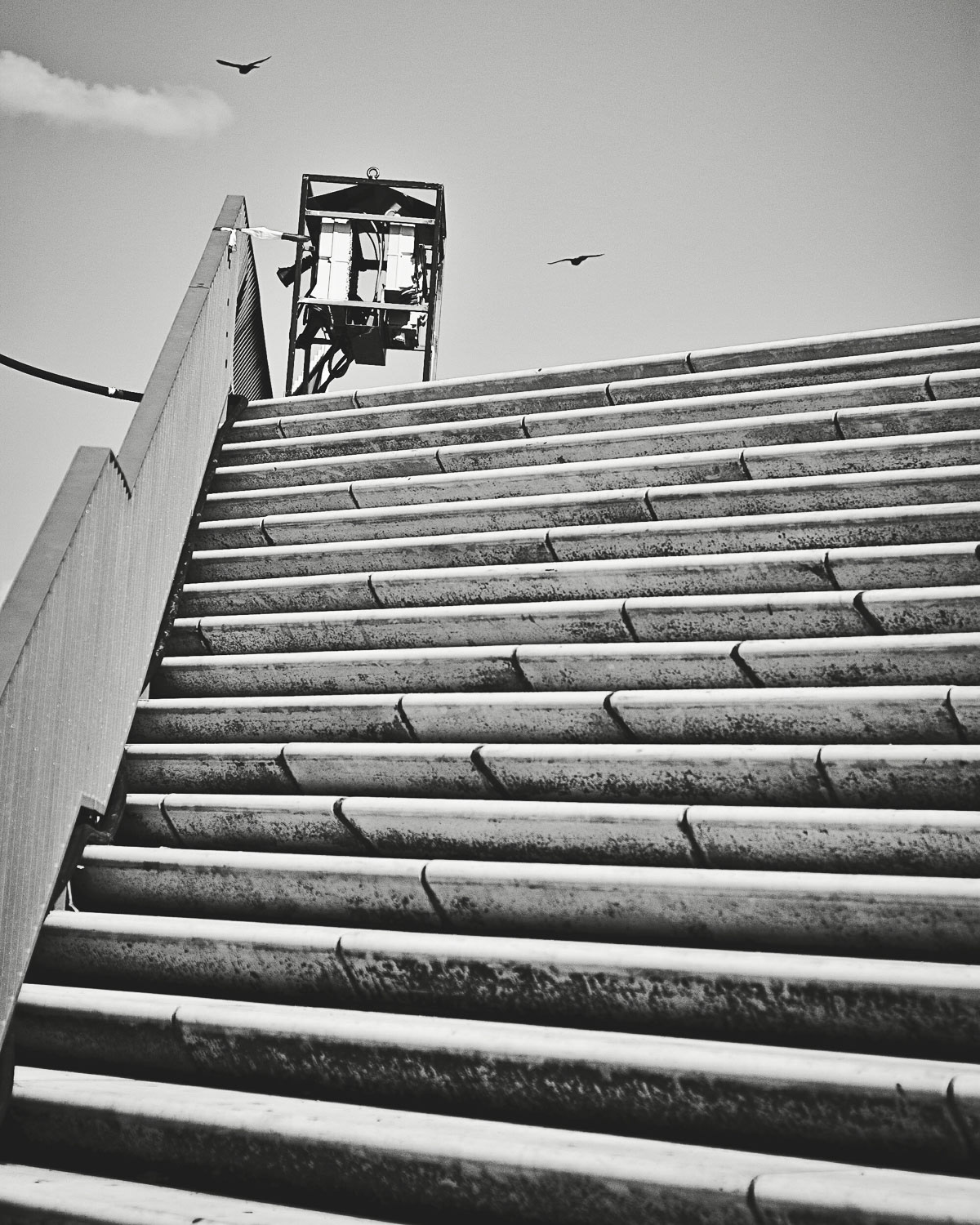 Treppe mit Vögeln in Hamburg Baumwall, Schwarz-Weiß, Urban Photography / Urbane Fotografie von Verena Stürzebecher