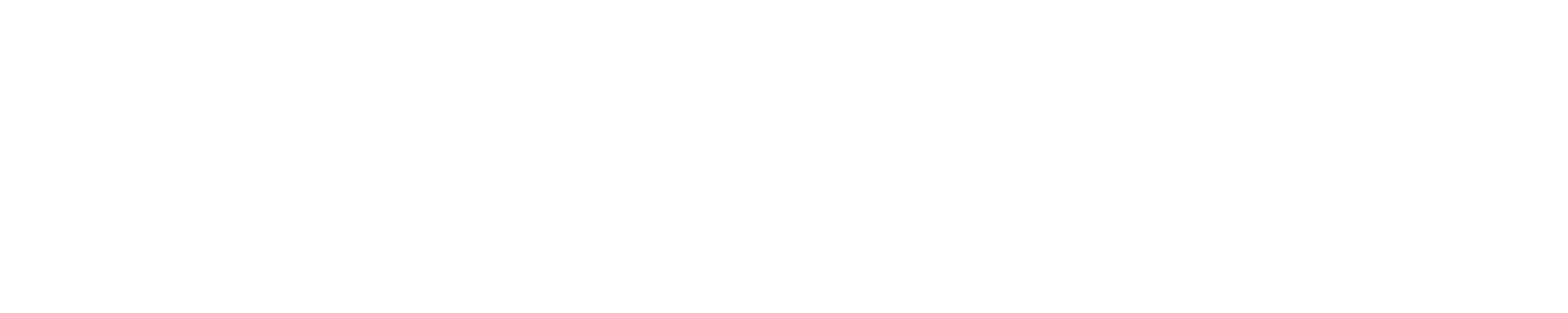 bertug bilgin