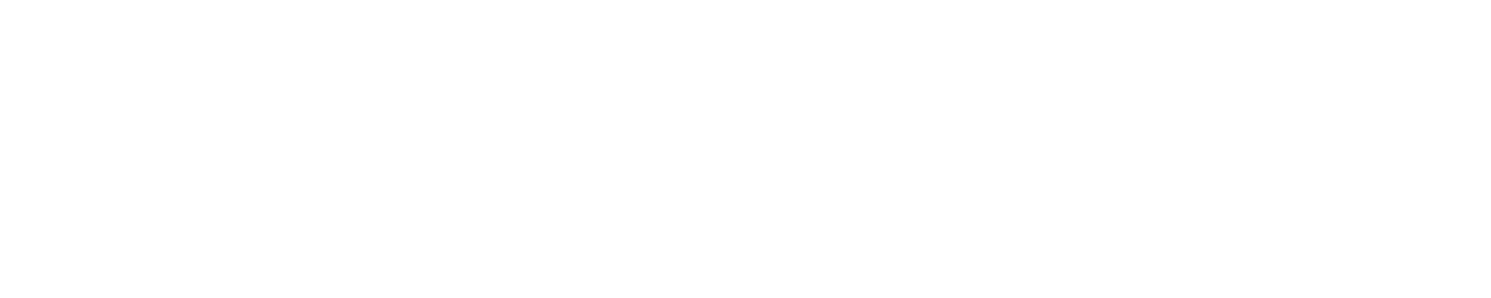 bertug bilgin