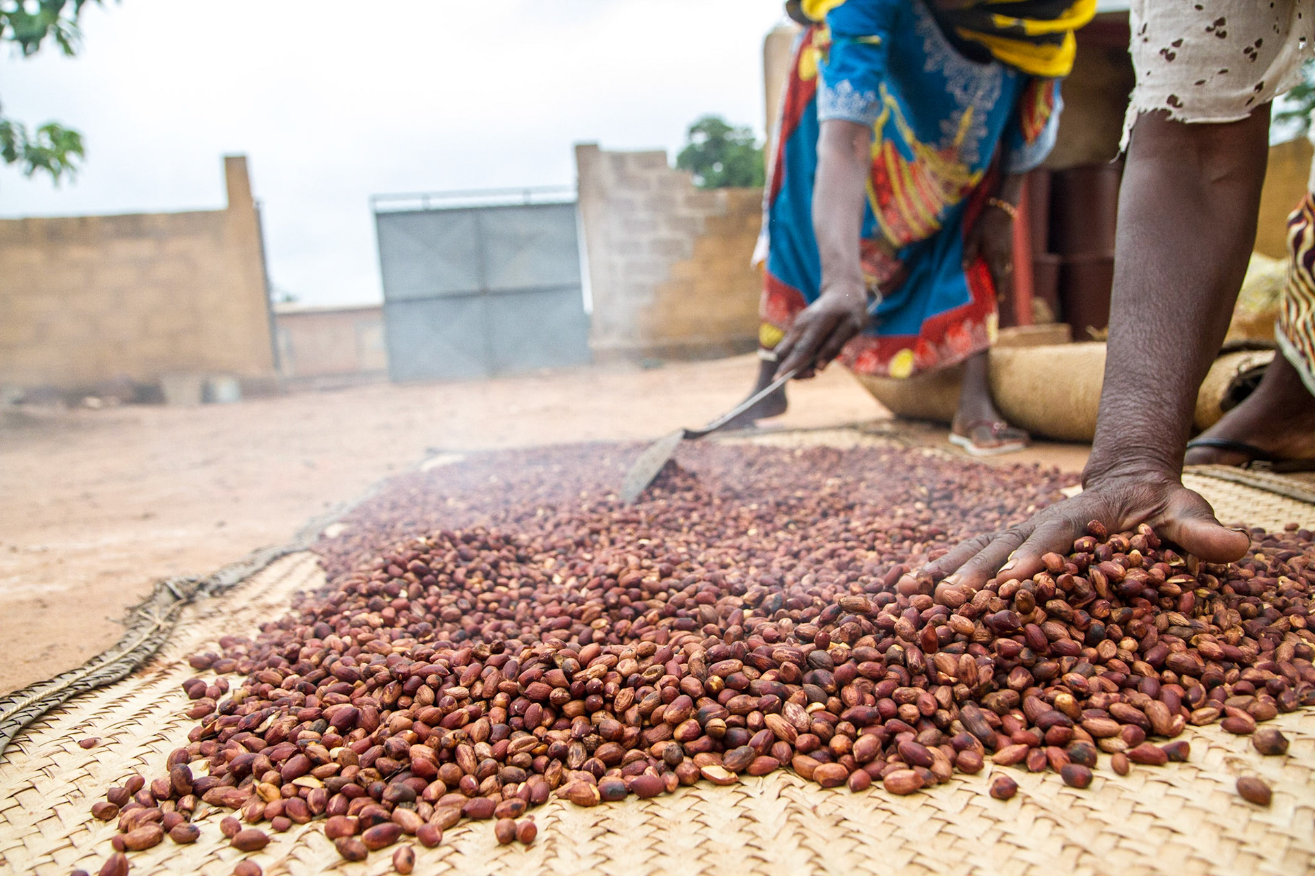 Loulouni, Mali. Women spread hot roasted nuts on a straw mat to cool. Taken July 4, 2012.