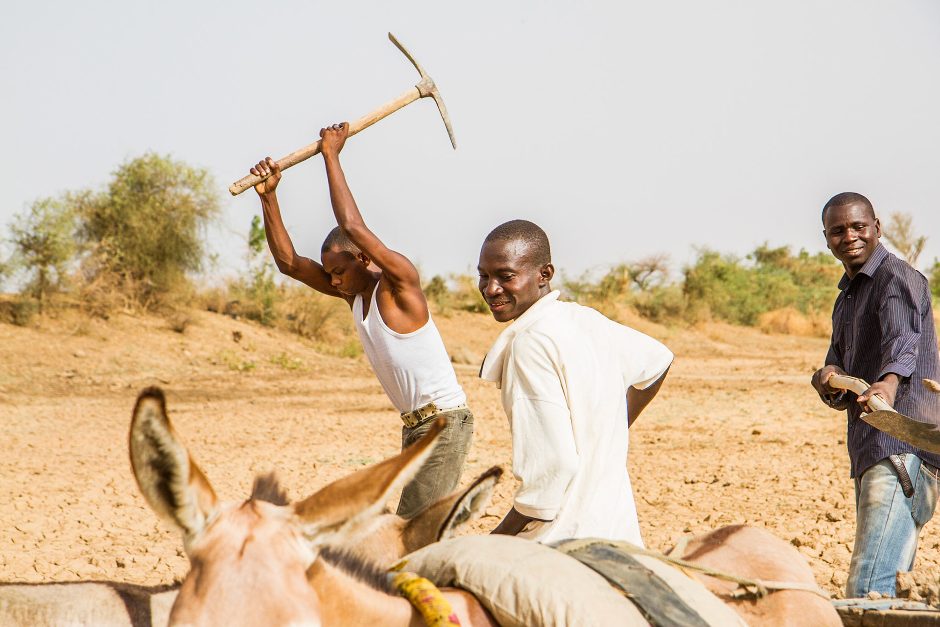 Niamey, Niger. Three young men from the farming village of Soudoure collect clay to make bricks, which they will sell at local markets. Taken on May 11, 2012.