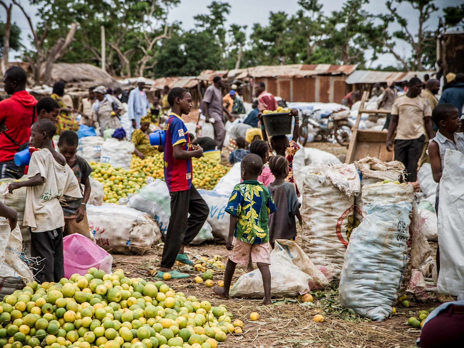 Loulouni, Mali. Farmers from the area sell lemons, potatoes and a large variety of other fruits and vegetables in Loulouni's market. Taken July 4, 2012.
