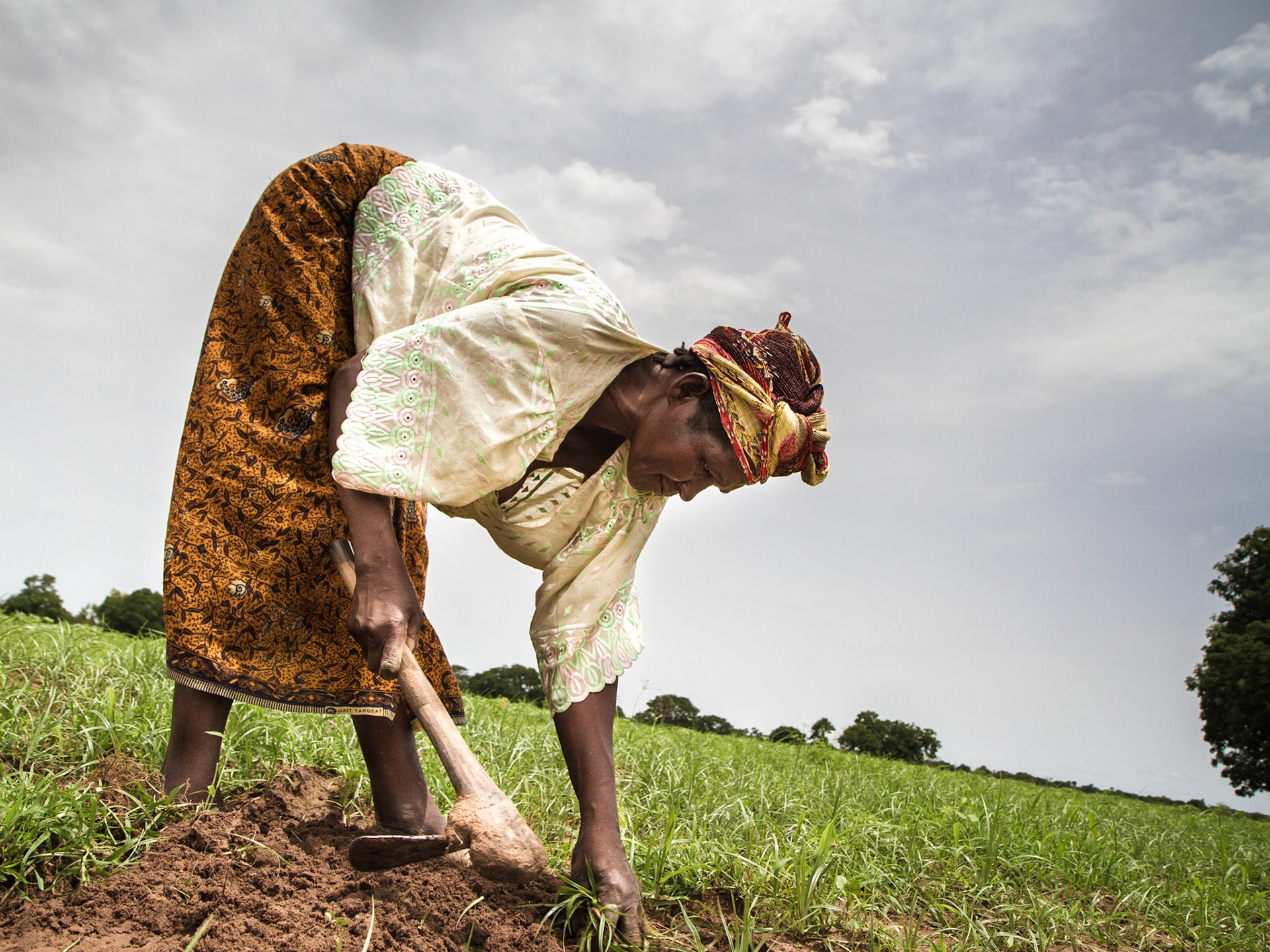 Molobala, Mali. Fatoumata Dembéle tends to her vegetable garden in the village of Molobala, Mali. Taken July 2, 2012.