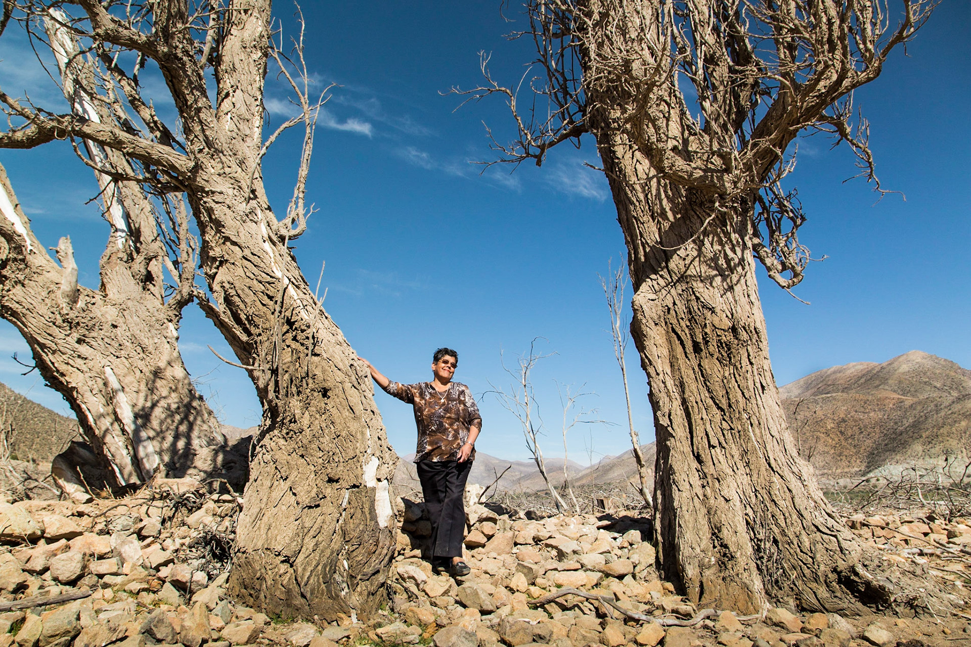 Gualliguaica, Chile. The original village of Gualliguaica, where Natalia Edith Codoceo Flores lived until the 1990s,  was flooded when the Puclaro Dam was built. But the long lasting drought has diminished the reservoir to 10% (or less) of it's capacity. The entire old village is now exposed, as the "reservoir" essentially receded back to the original bed of the Elqui. Taken April 29. 2013.