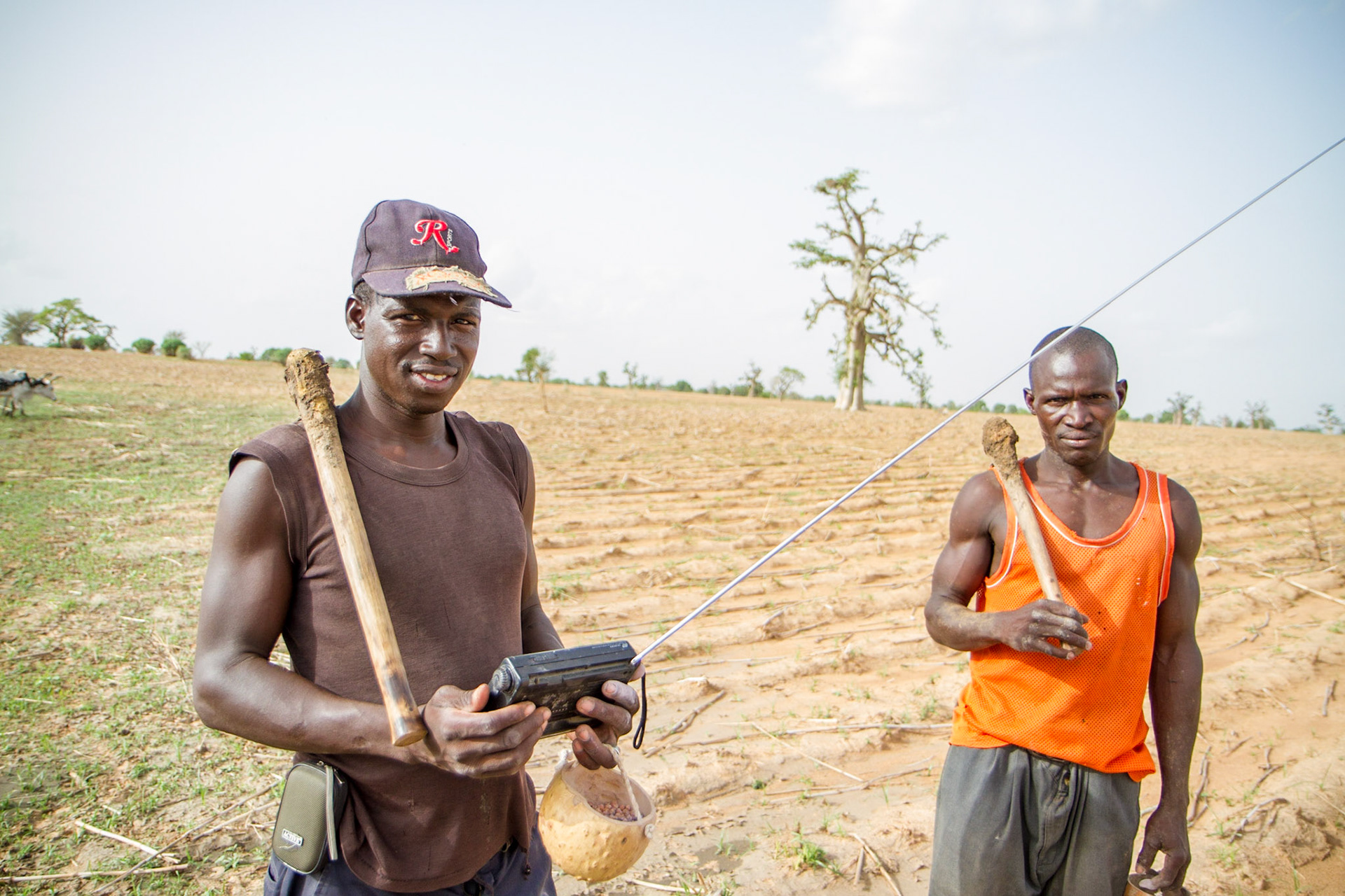 Djouna, Mali. Farmers in the Sahelian village of Djouna in southern Mali listen to the radio as they prepare their field for planting. Taken June 30, 2012.