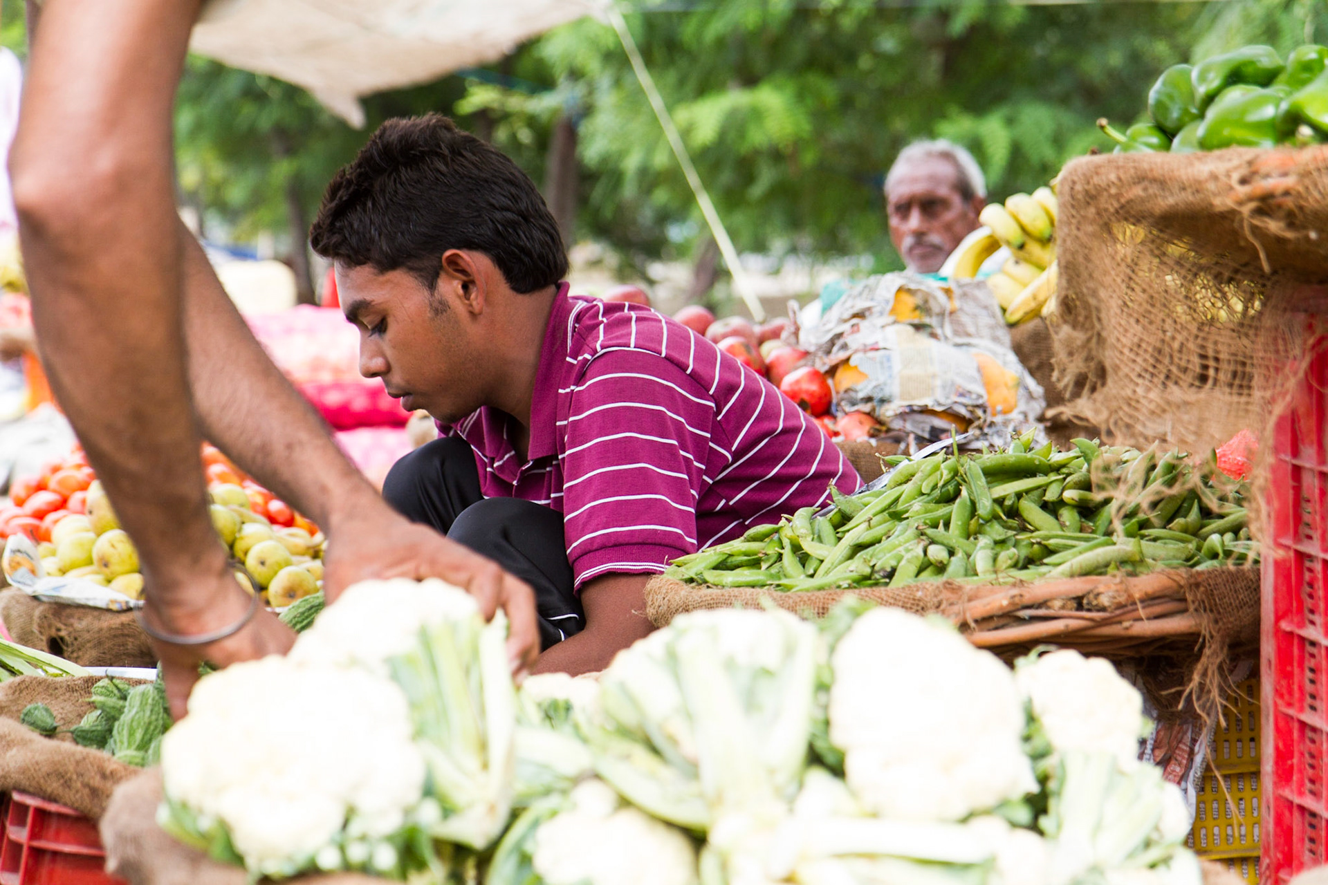 Punjab, India. Roadside vegetable seller. Taken September 1, 2012.