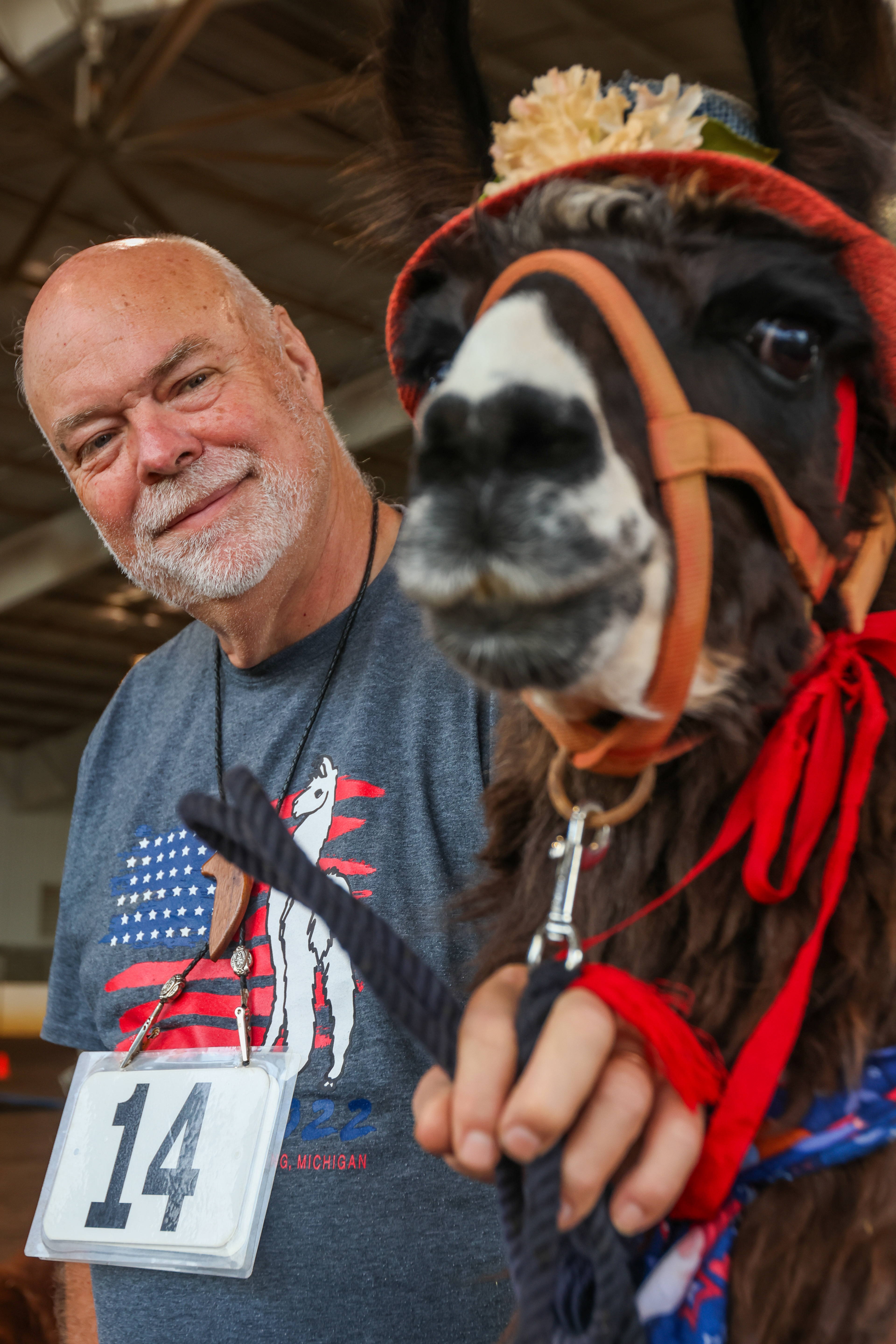 Greg Hall, 69, from Mt. Airy, North Carolina prepares his Alpaca Reepicheep for competition at the Georgia National Fair In Perry, Georgia. Photo/ Samantha Hurley 404 432 5747 