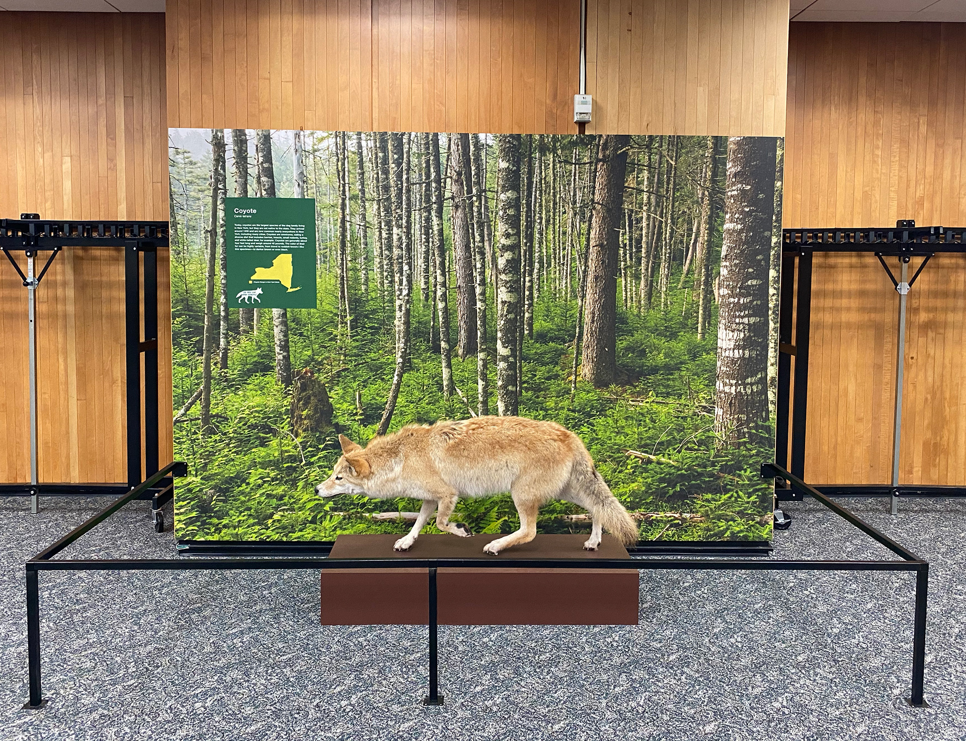 INSTALLATION PHOTO