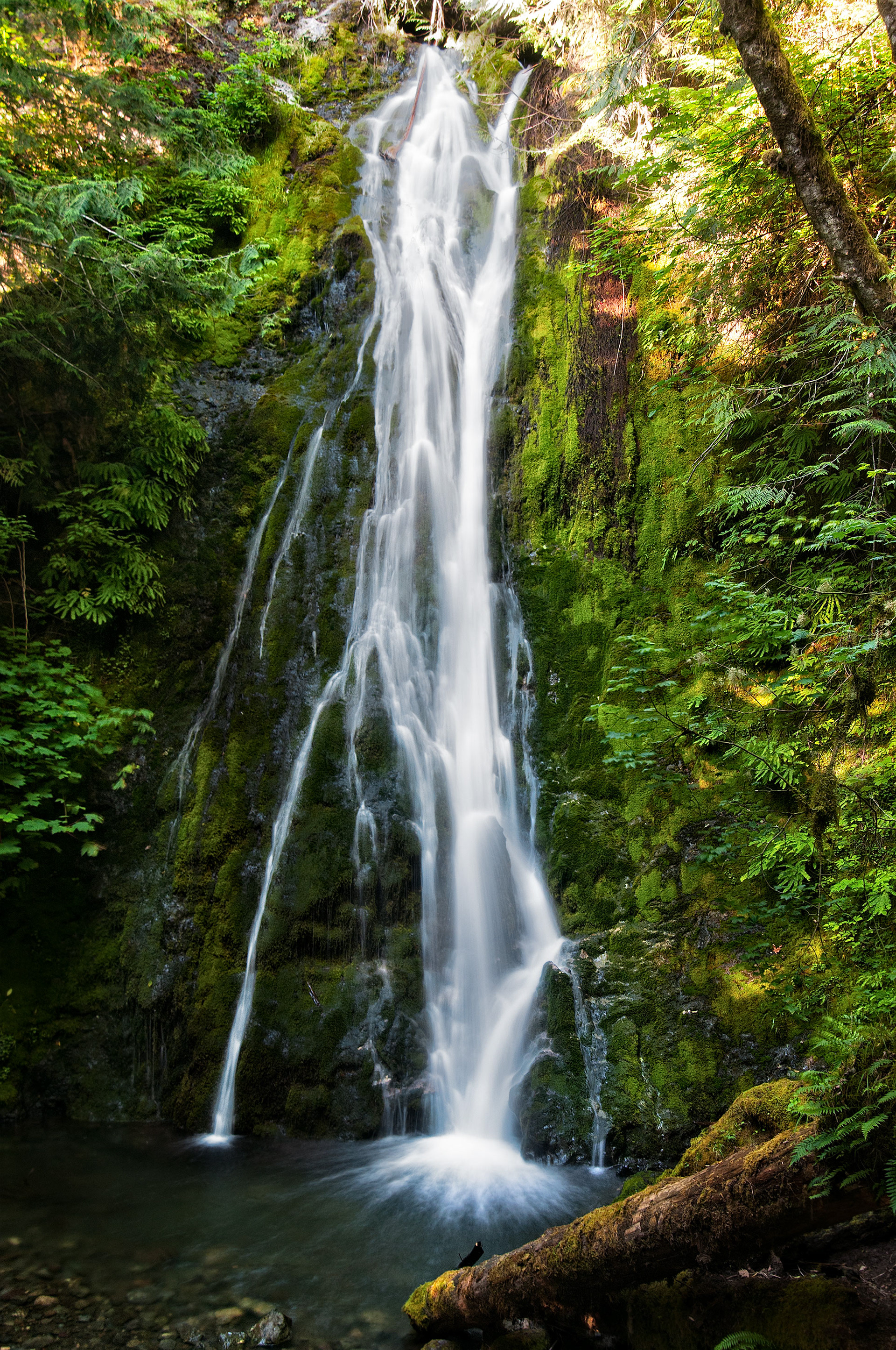MAdison Falls, Olympic NP