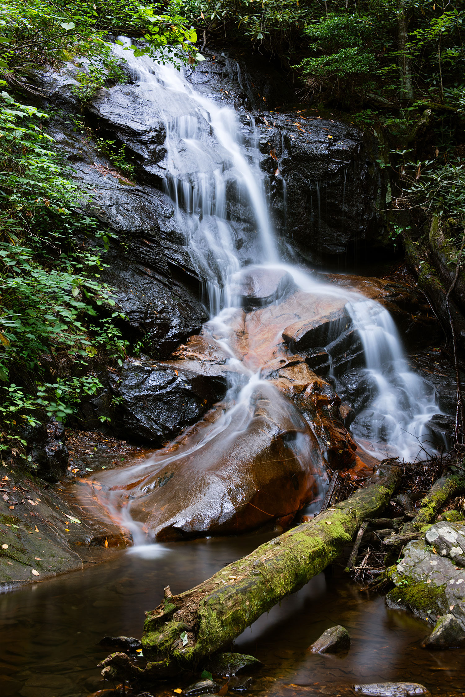 Falls on Log Hollow Branch, Western NC