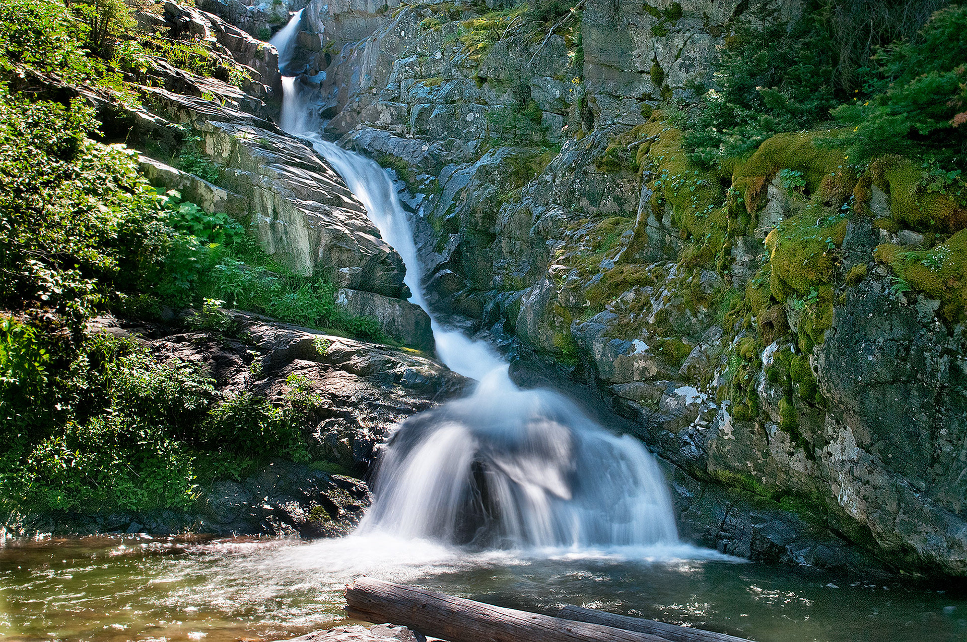 Aster Park Falls, Glacier NP