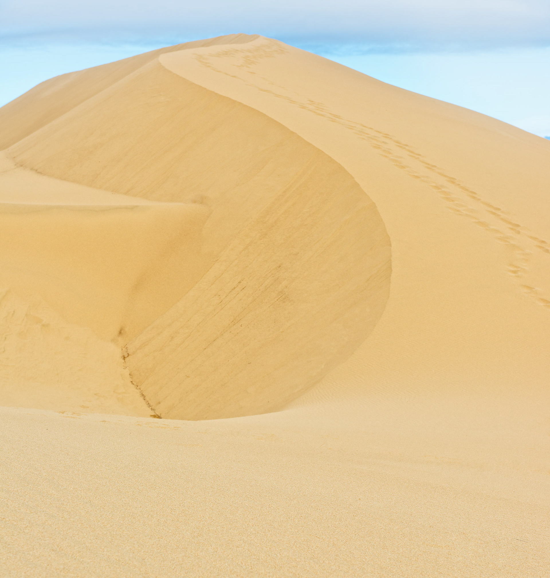 Umpqua Dunes,  Oregon