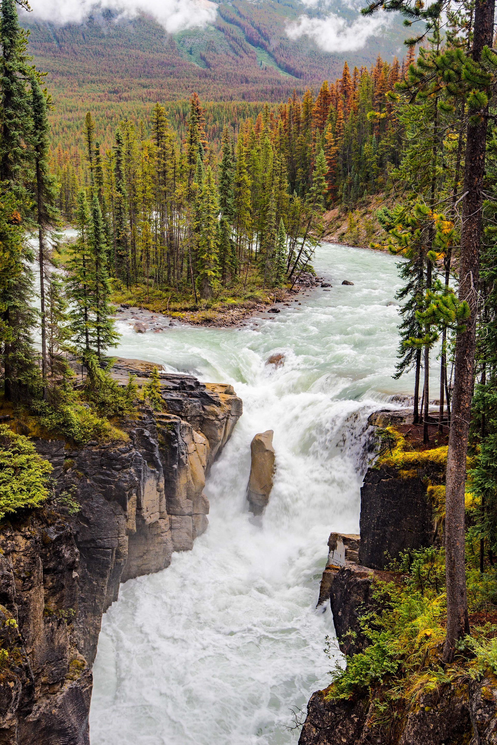Sunwapta Falls