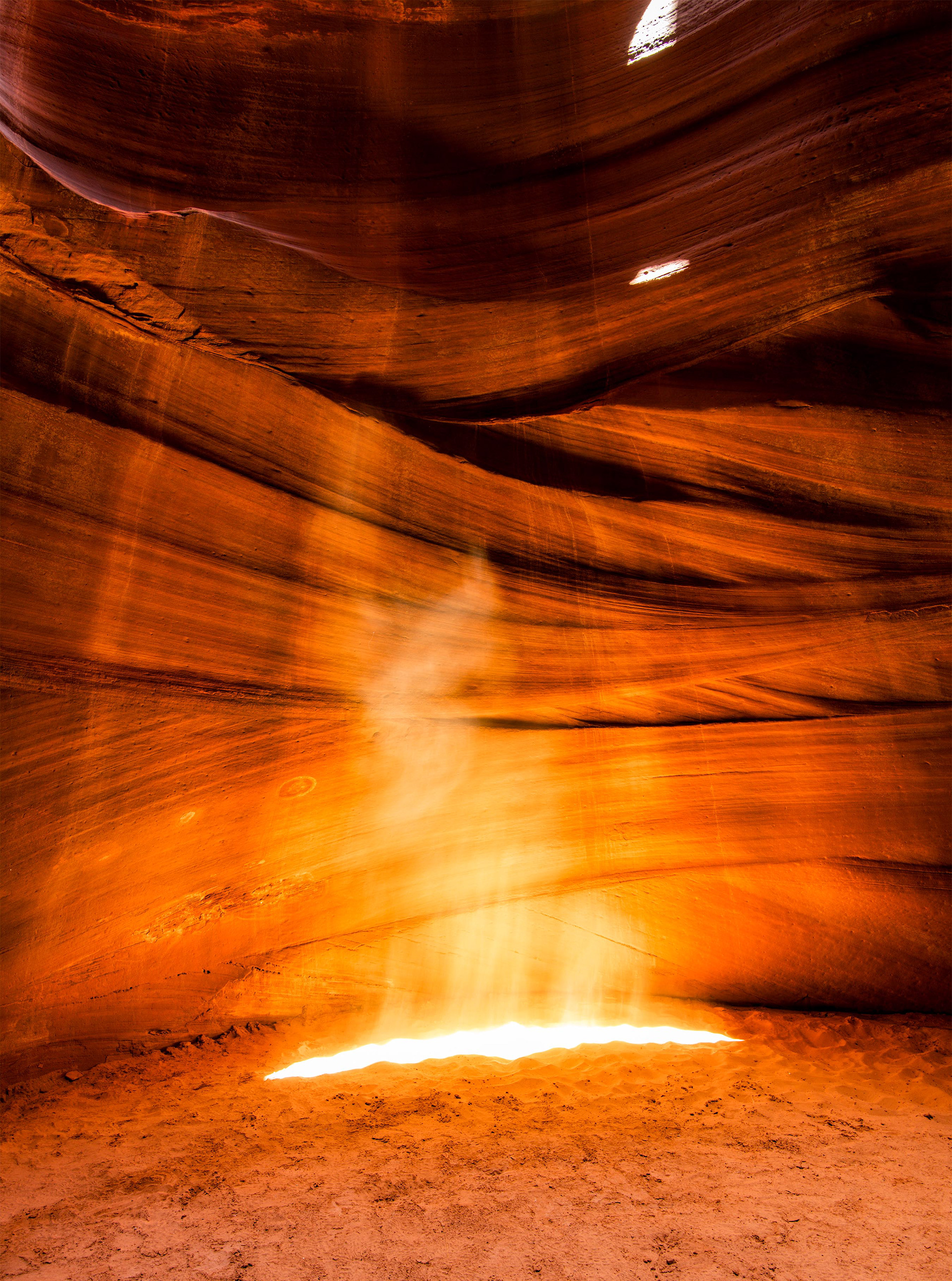 Antelope Cardiac 