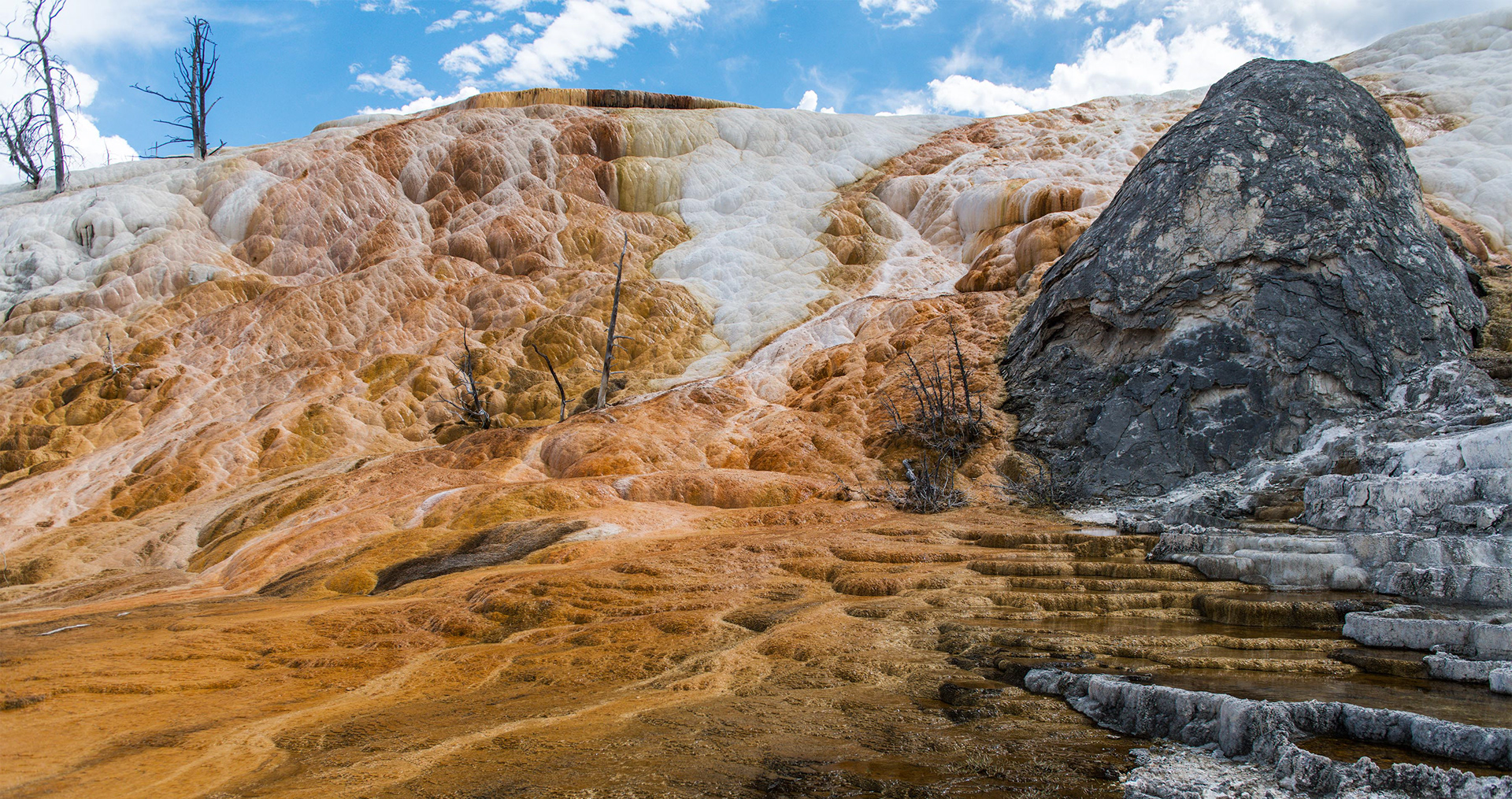 Mammoth Hot Springs - Lower Terrace