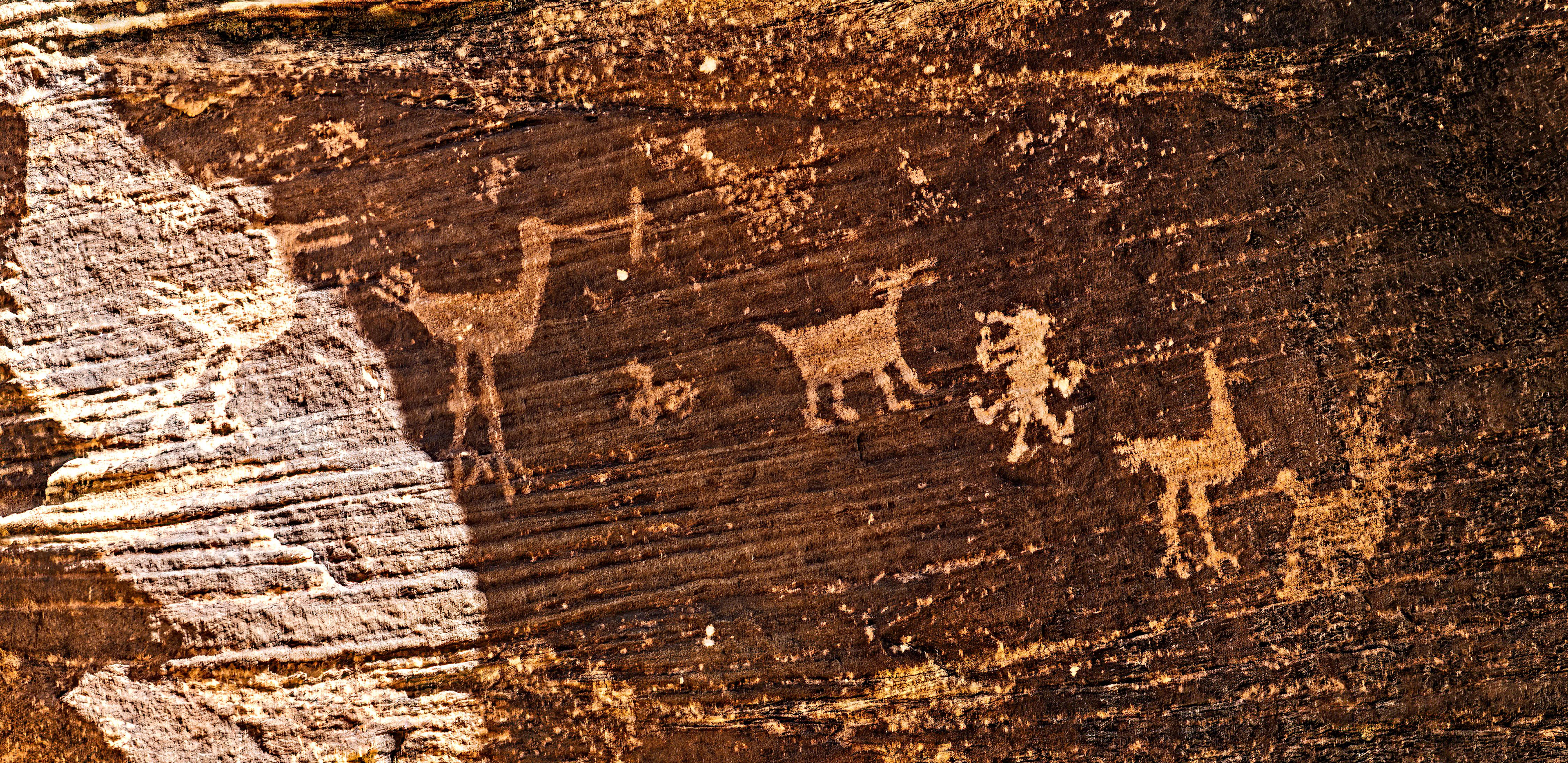 Puerco Pueblo - PFNP