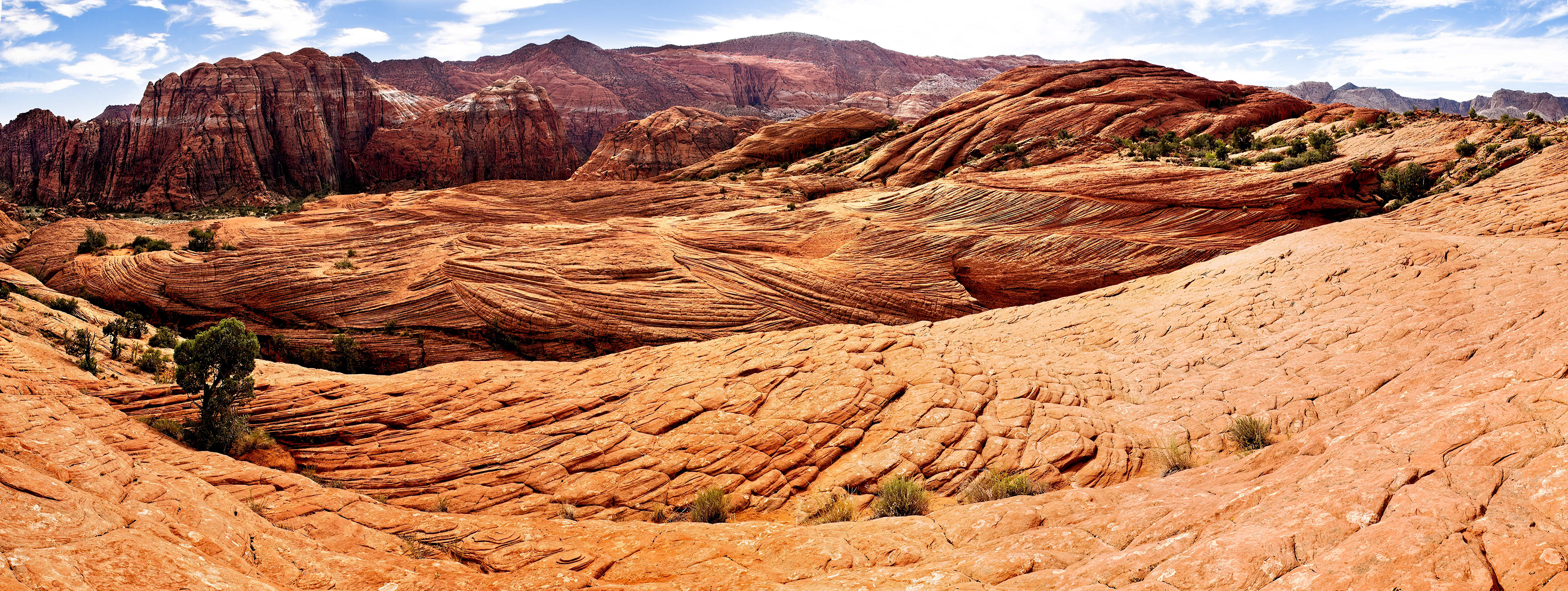 Snow Canyon