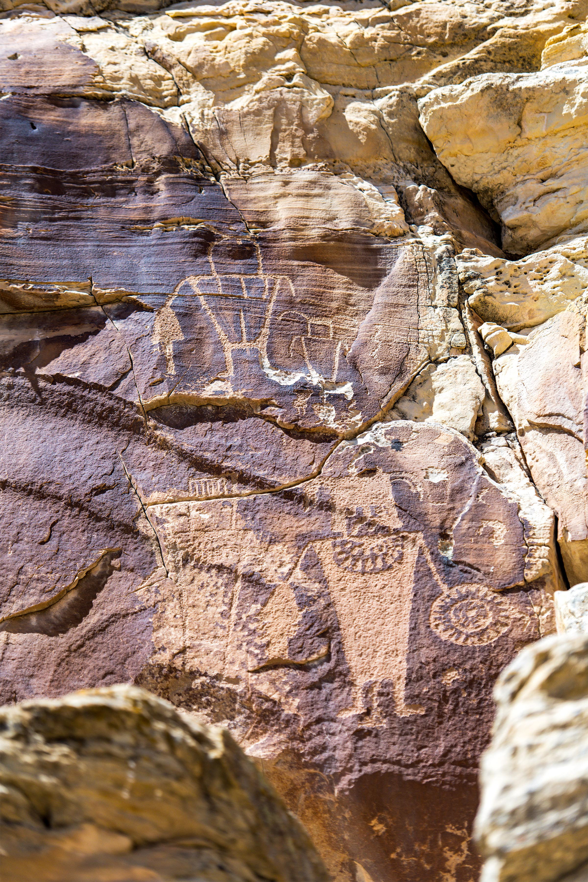 Dinosaur NM