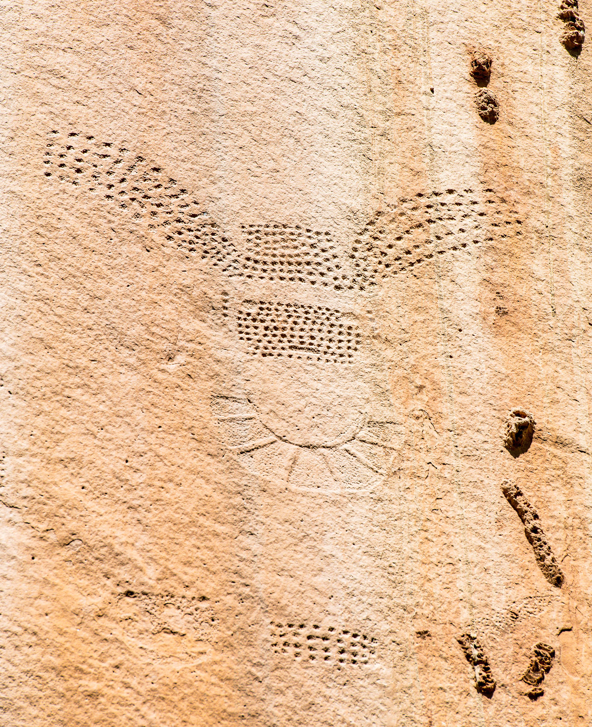 Dinosaur NM