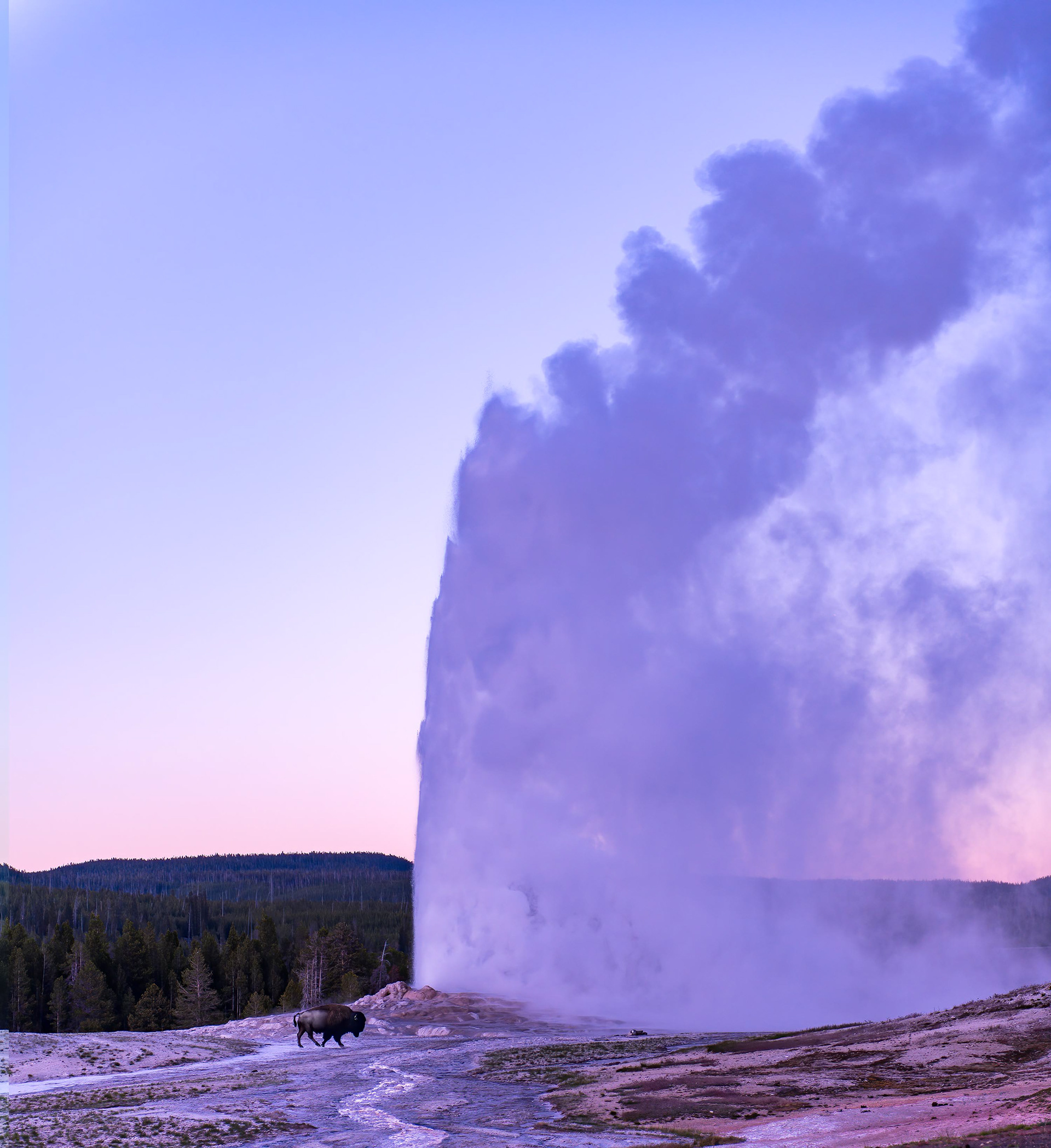 Old Faithful
