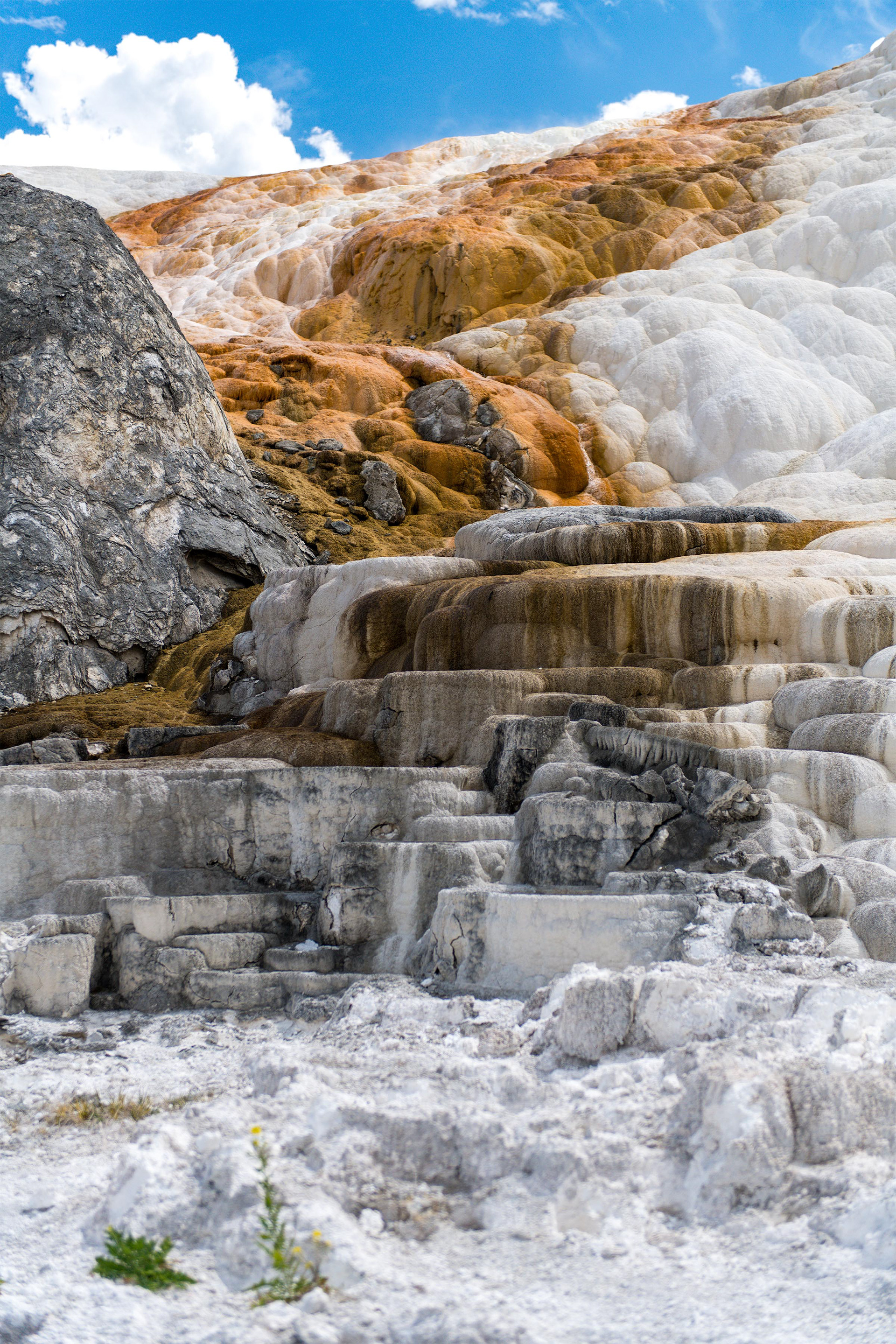 Mammoth Hot Spring - Lower Terrace