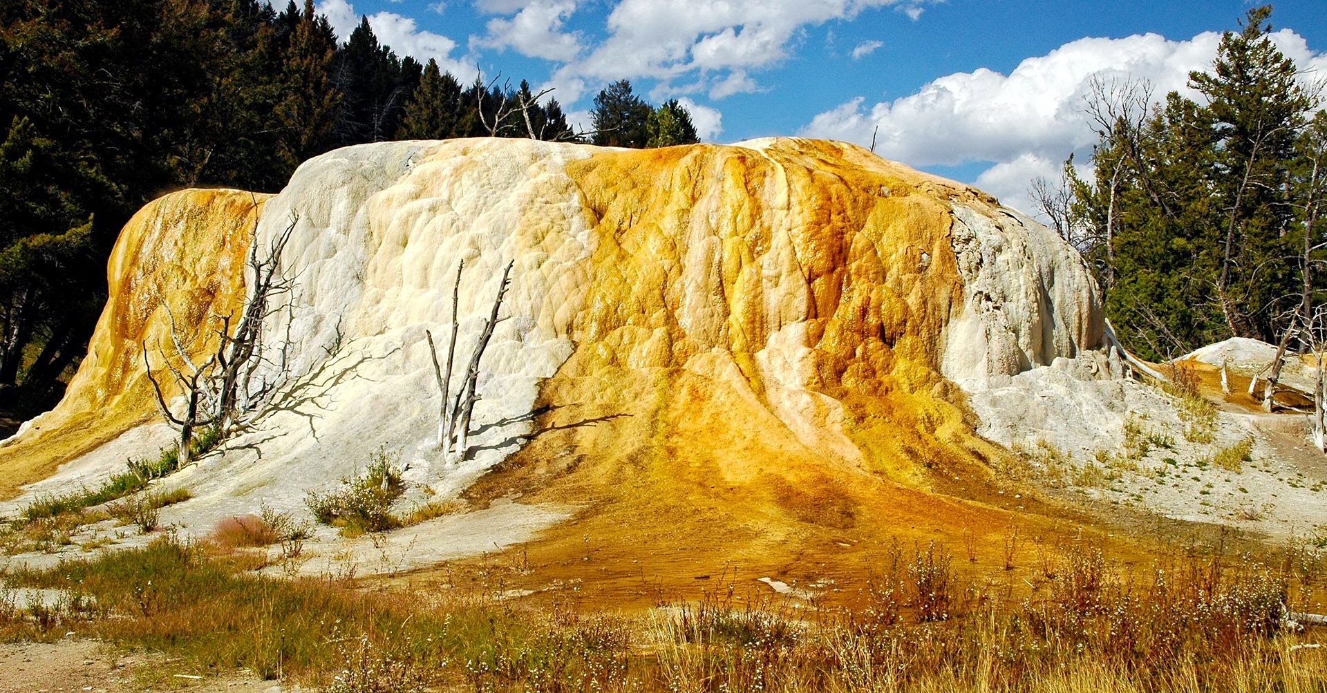 Mammoth Hot Springs - Orange Spring Mound