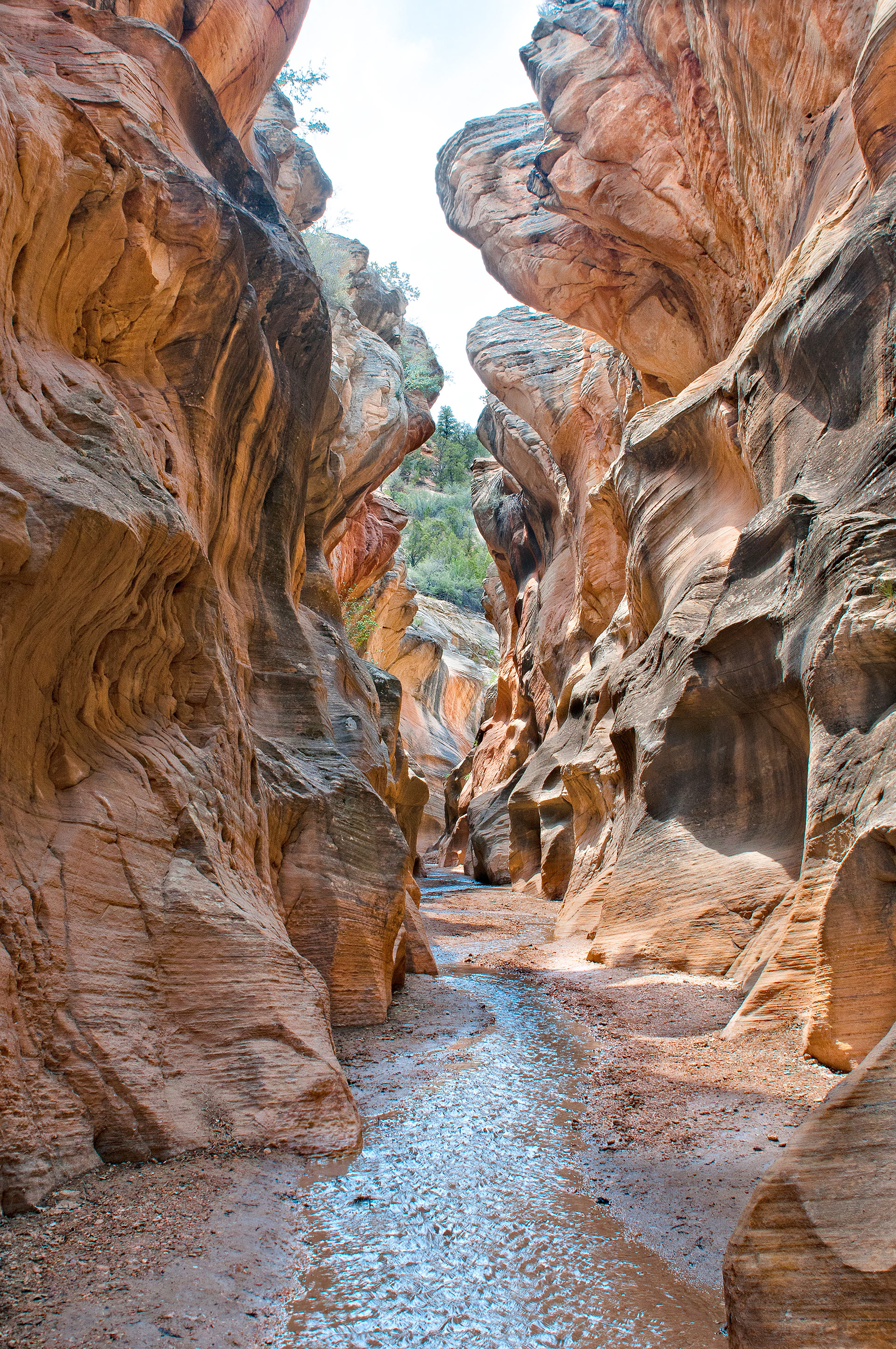 Willis Creel Narrows, The Paria