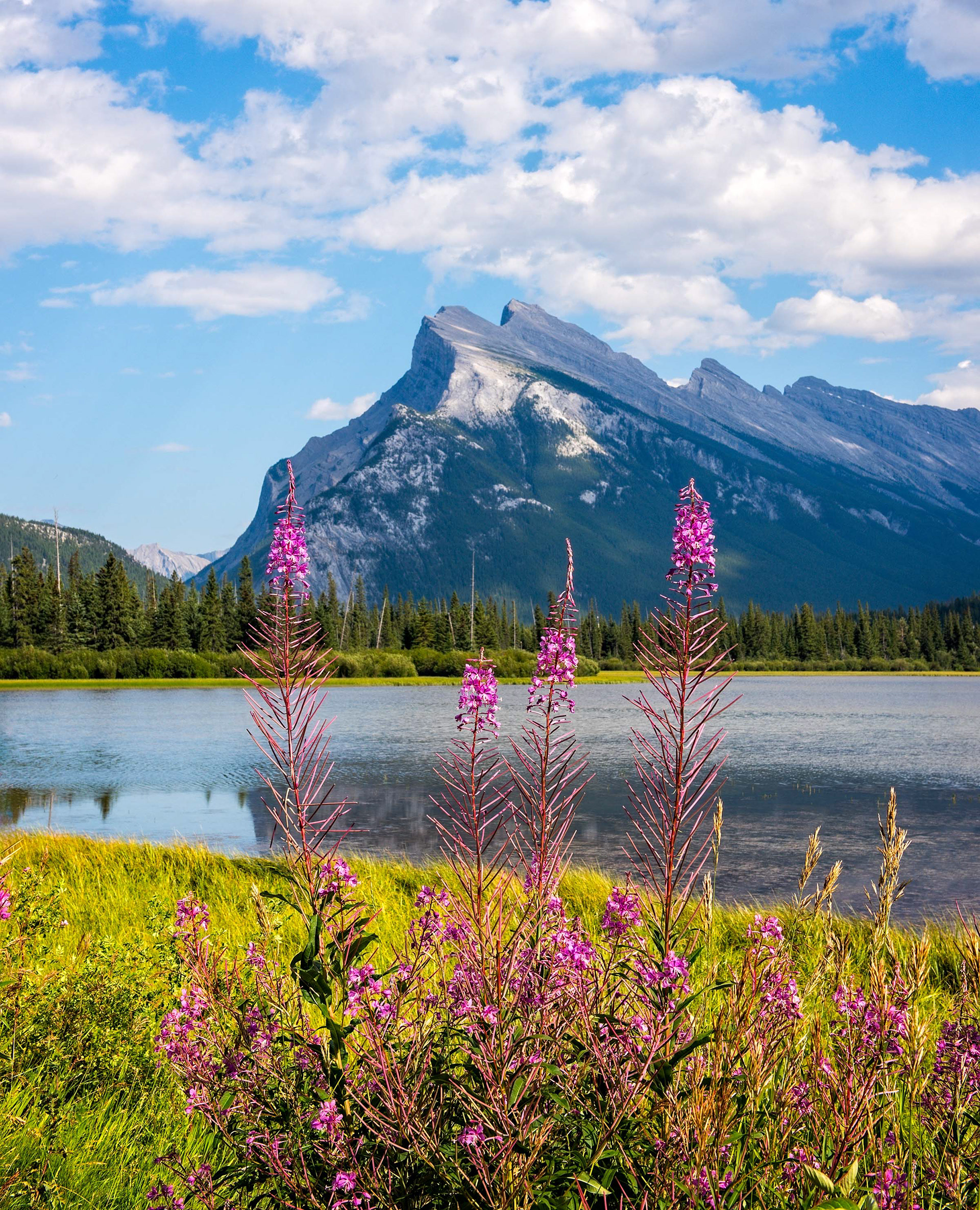 Vermillion Lakes