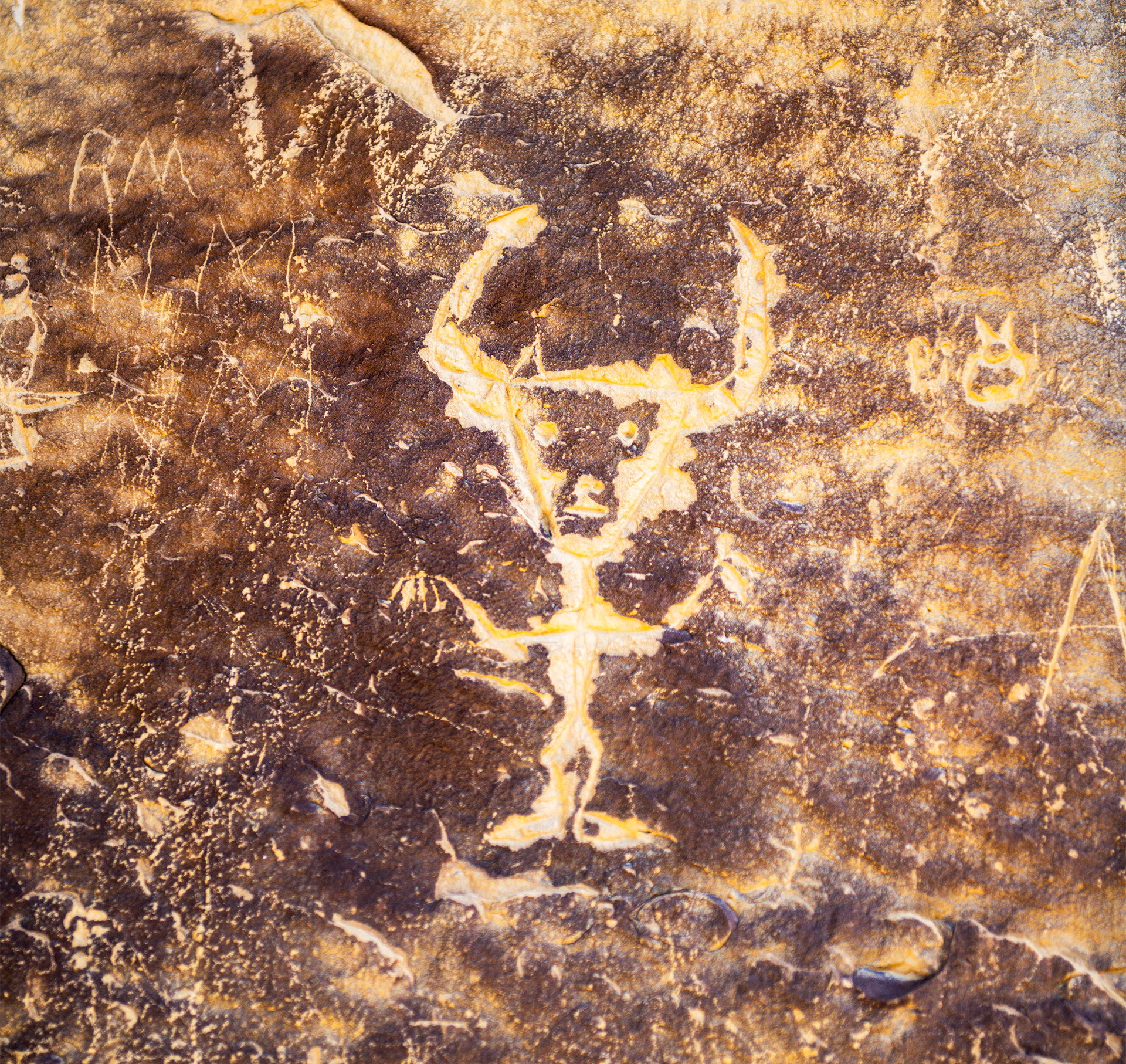 Dinosaur NM