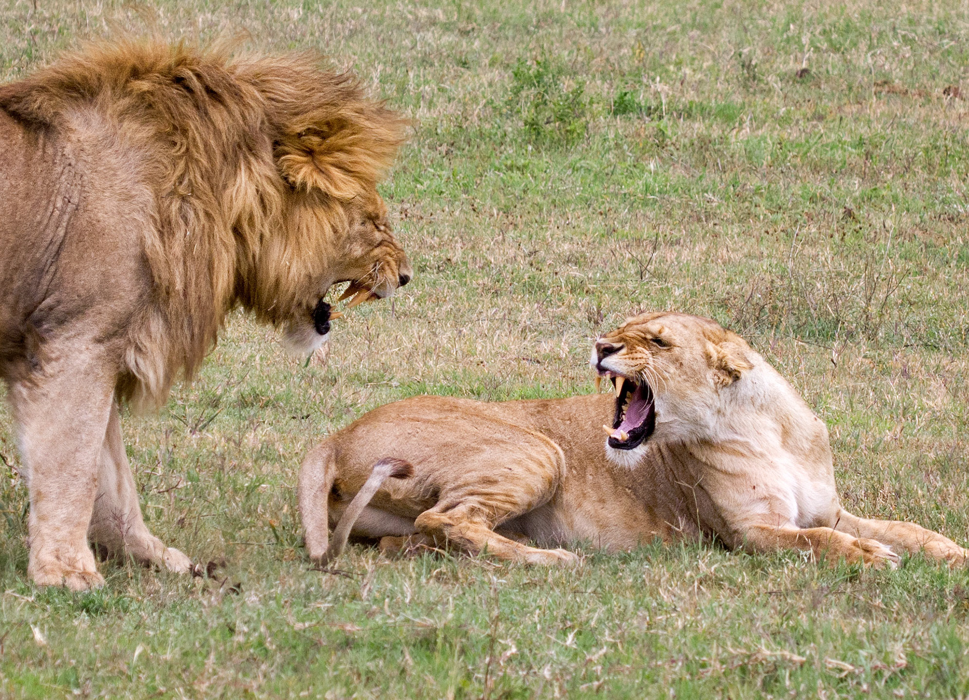 Ngorongoro Crater, Tanzania