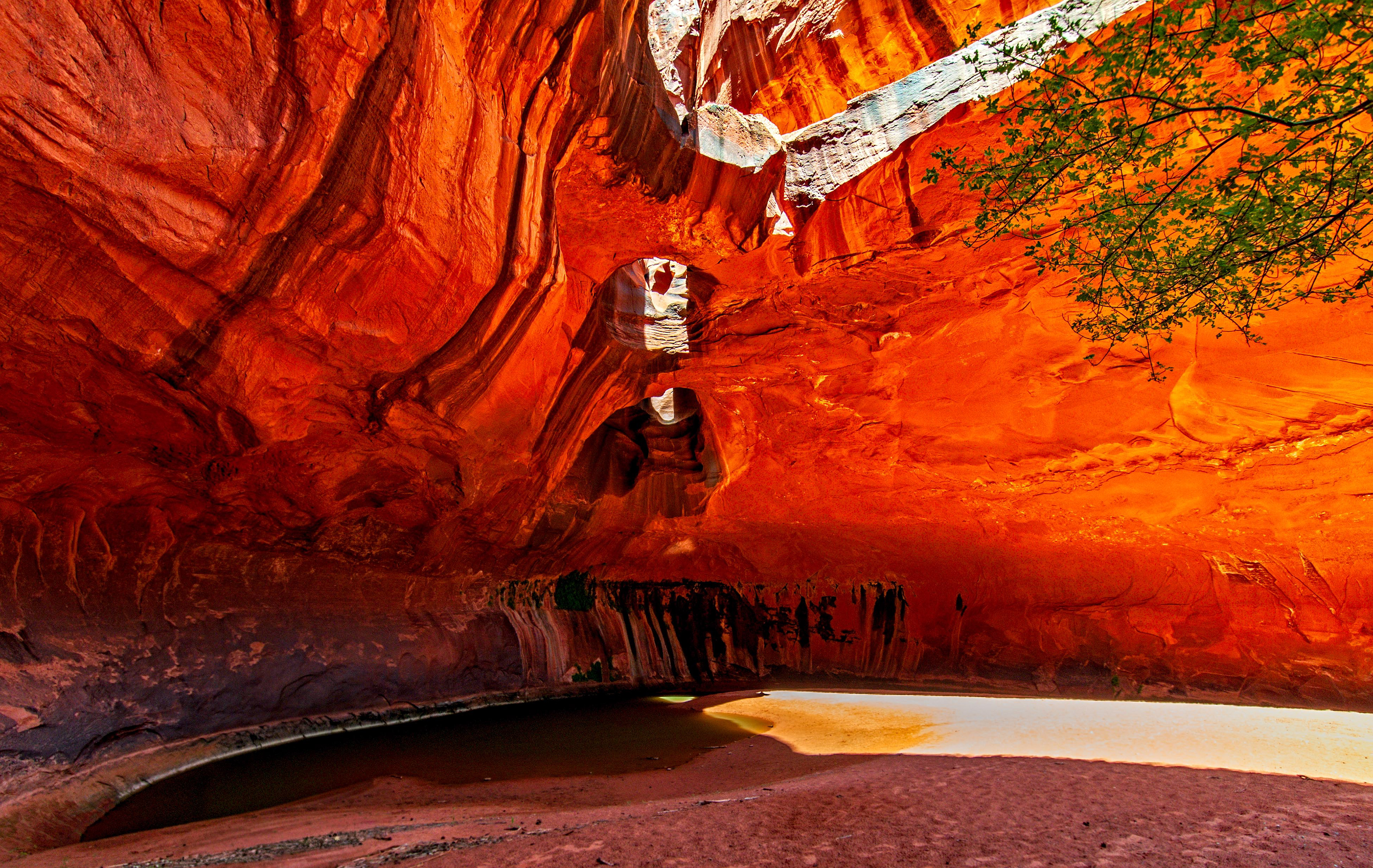 Neon Canyon - Escalante