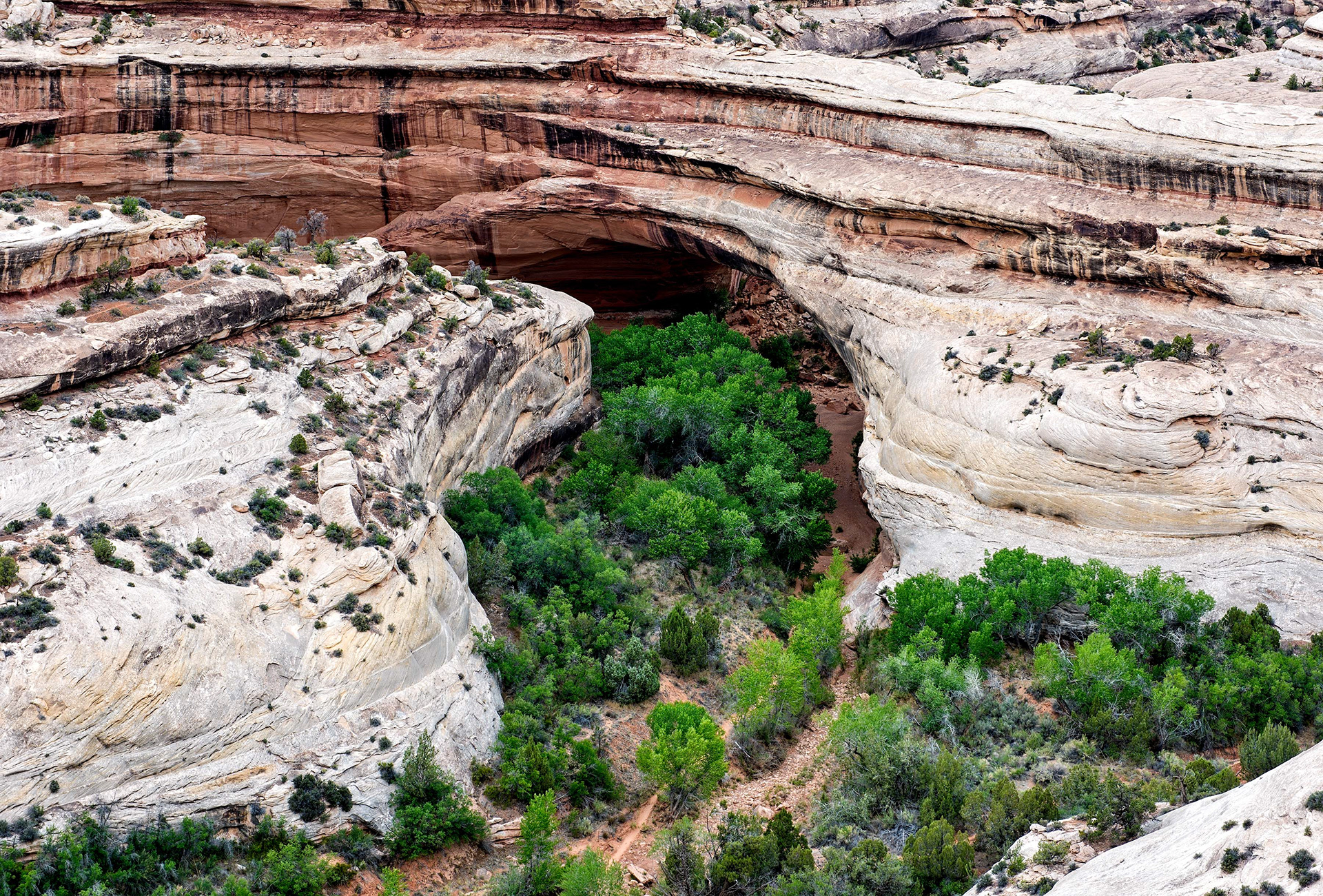 Natural Bridges NM