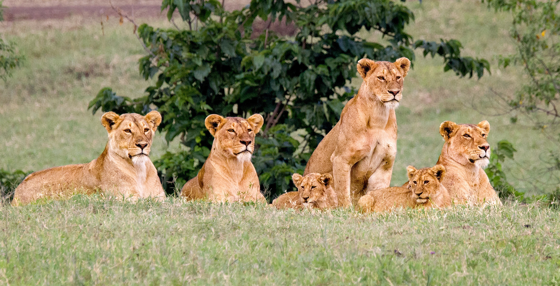 Ngorongoro Crater, Tanzania